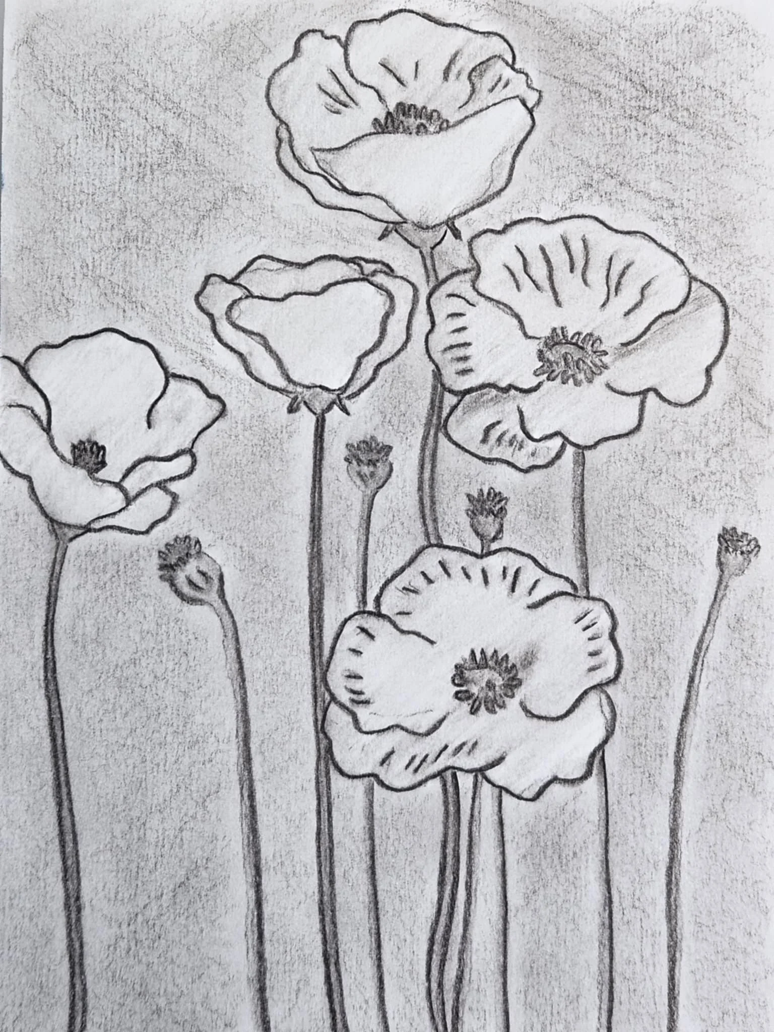  Drawings in Cornwall, UK 