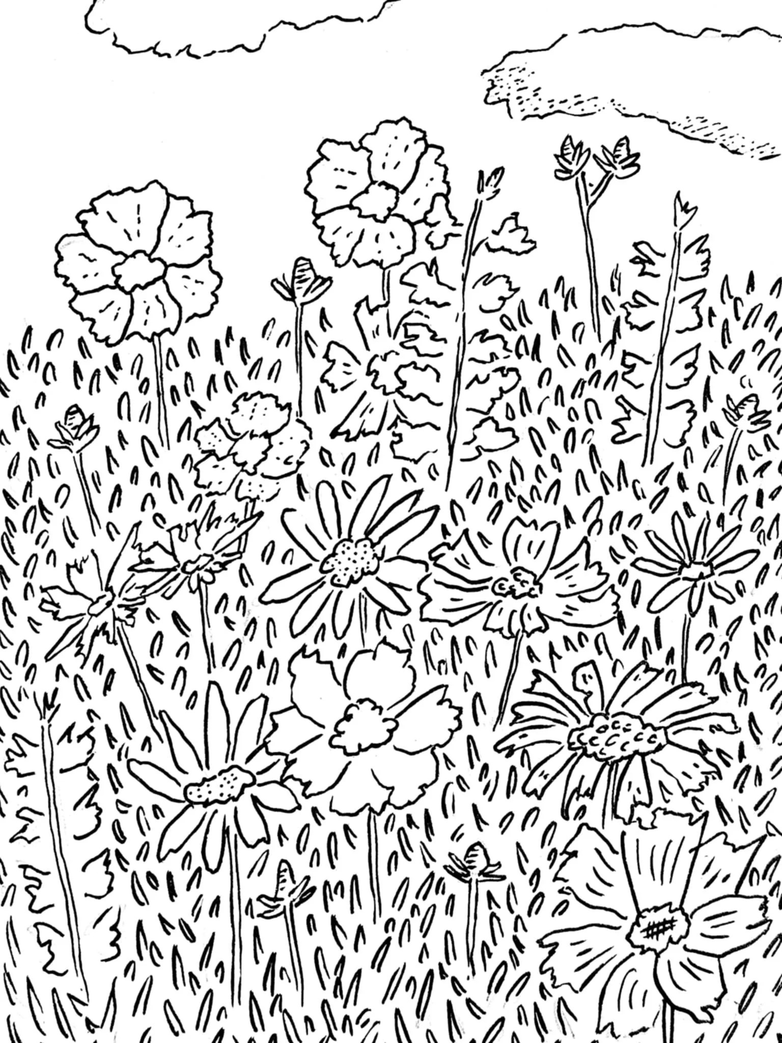  Drawings in Cornwall, UK 
