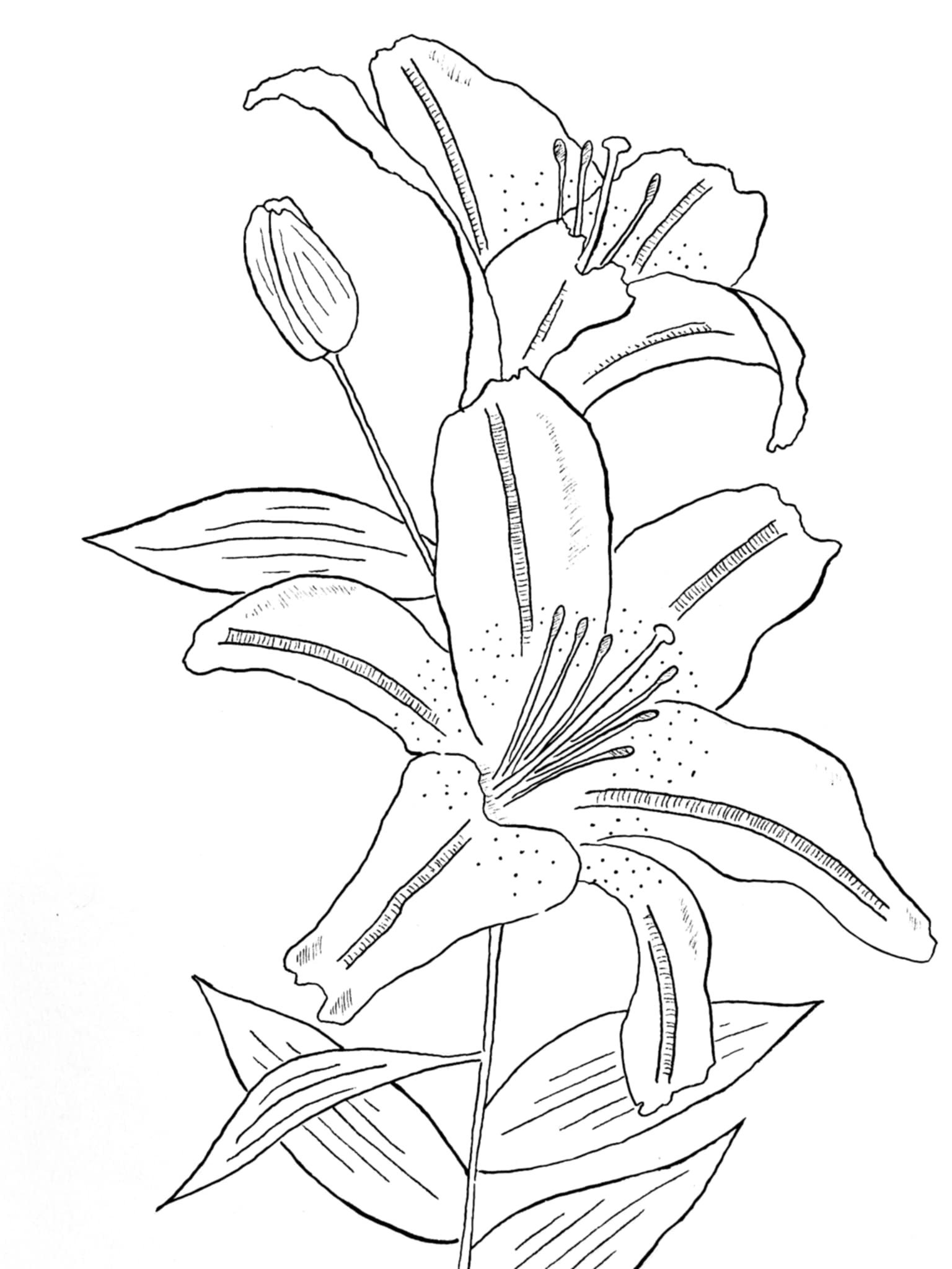  Drawings in Cornwall, UK 