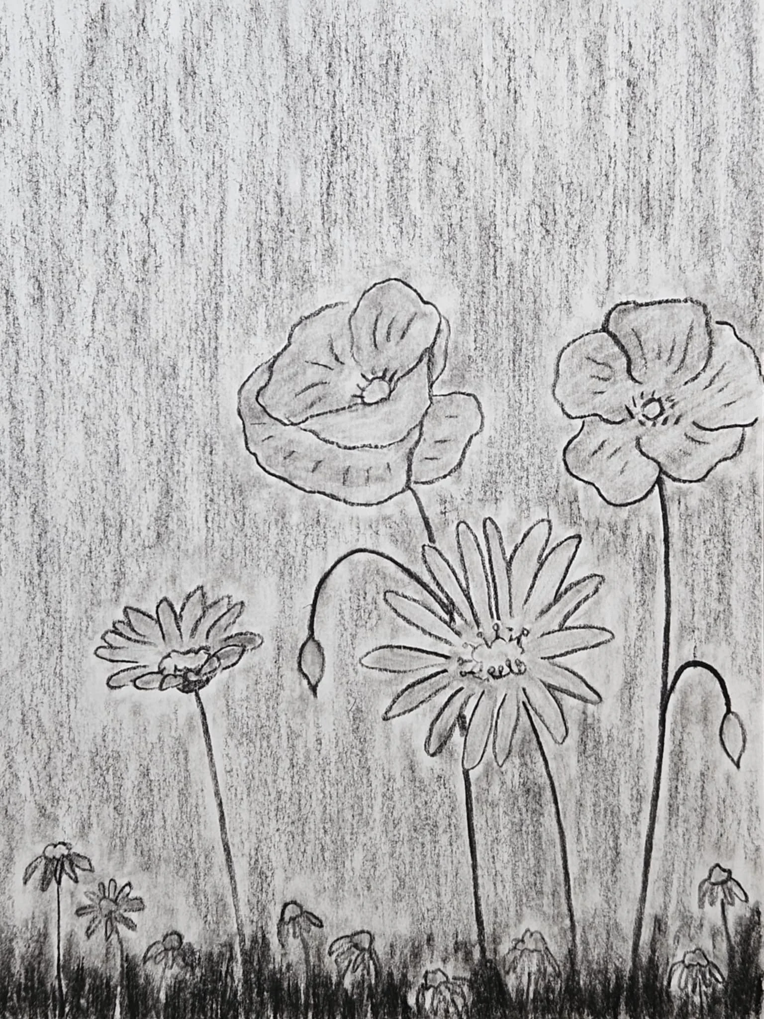  Drawings in Cornwall, UK 