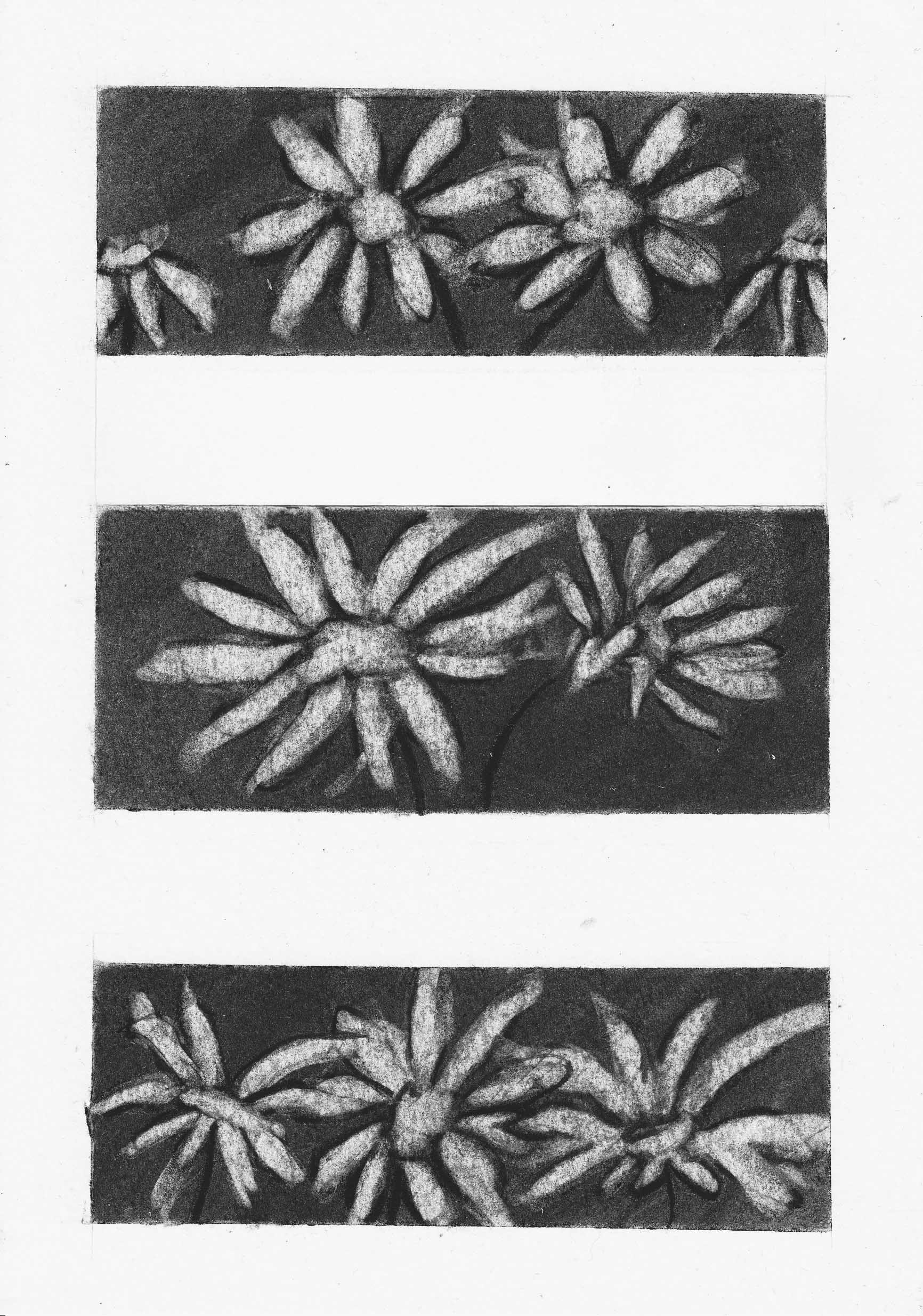 Fragments of a Field