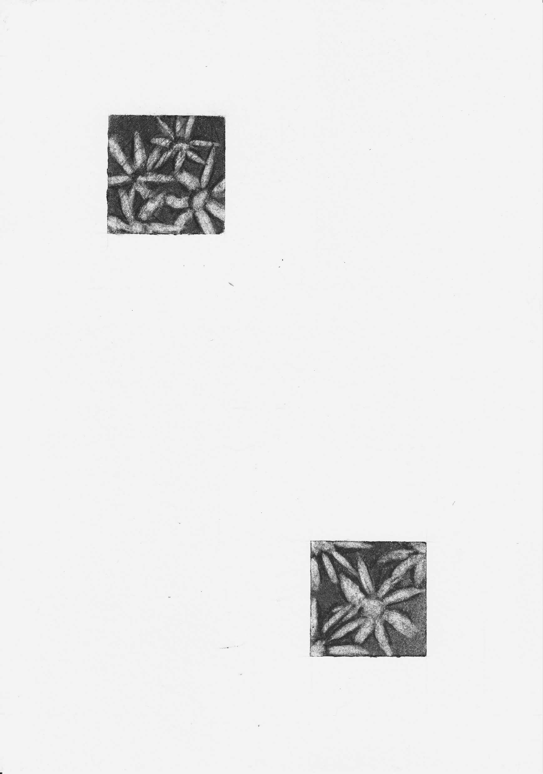 The Silence Around Them