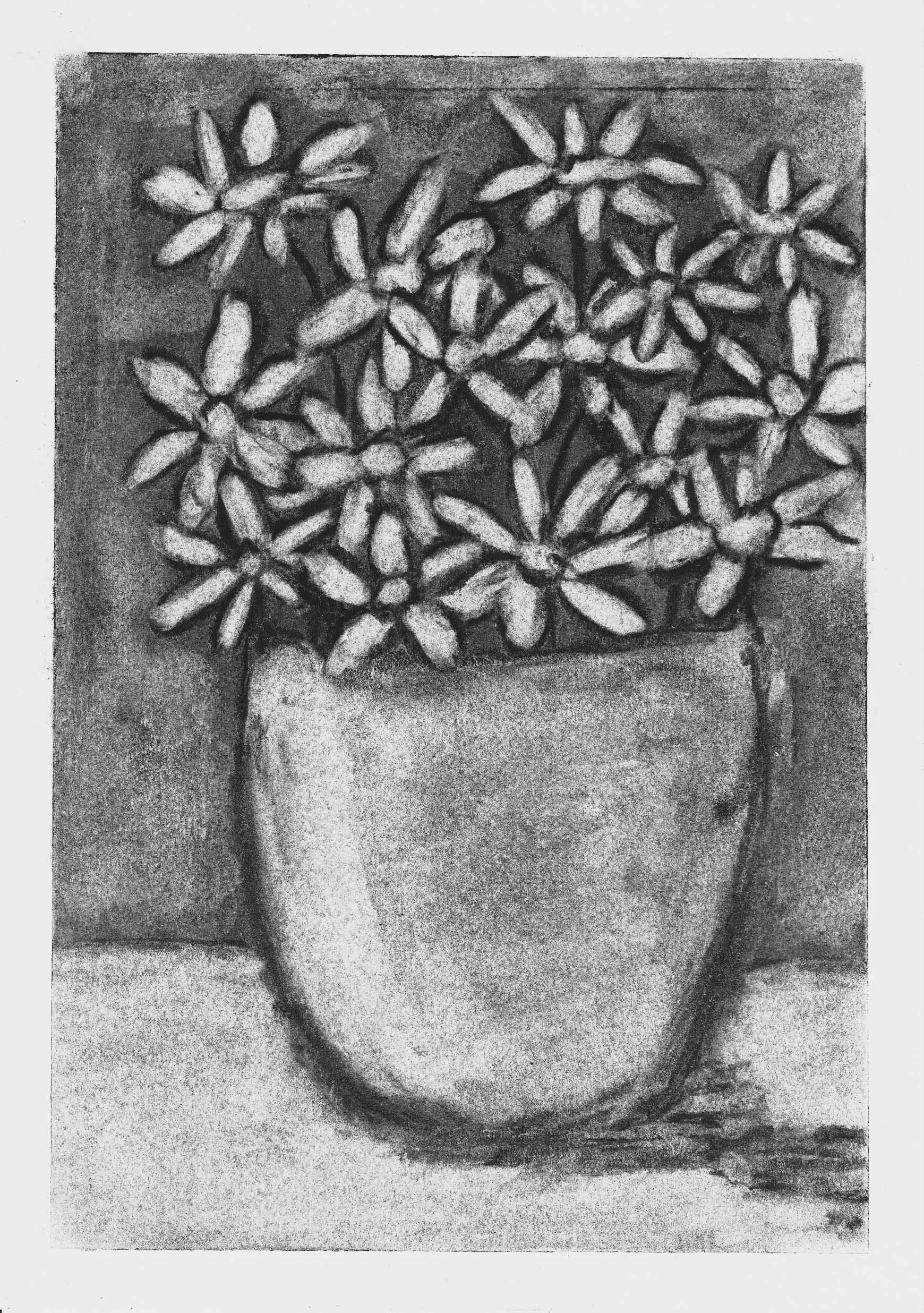 Daisies, a Study