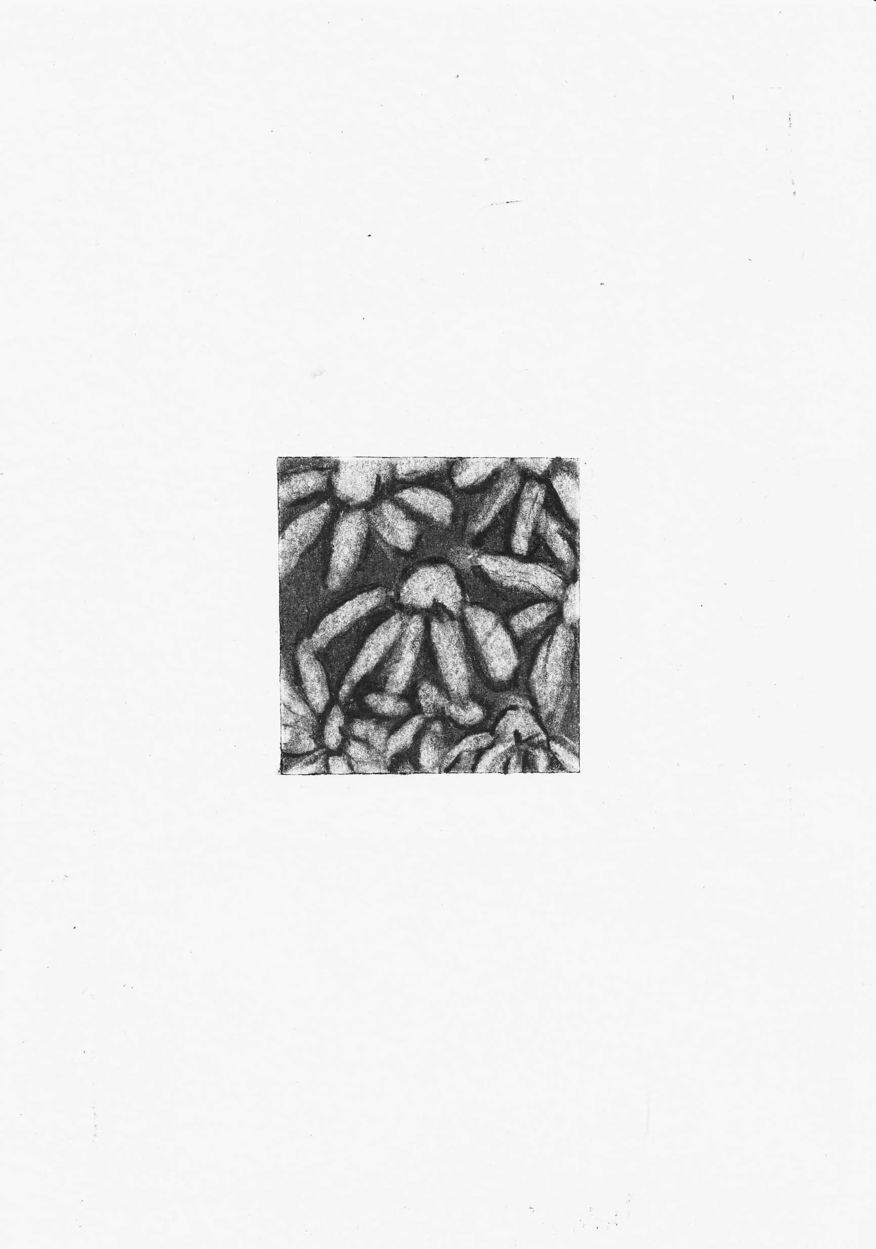 A Window To The Soul