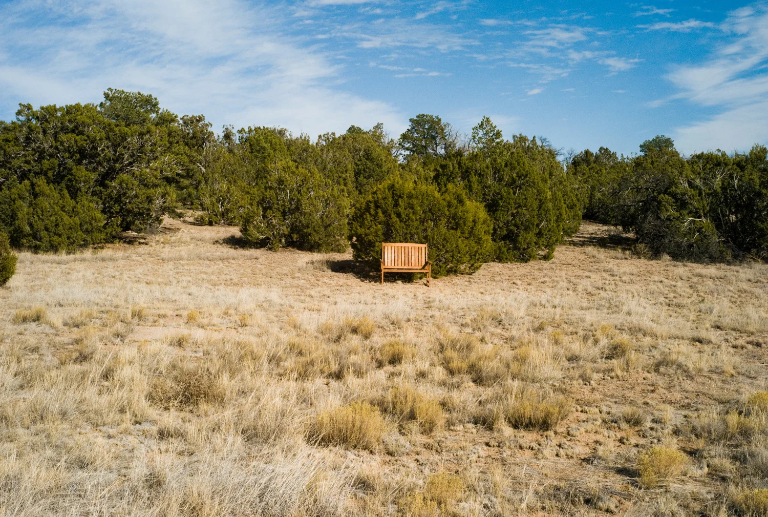 Land/Scapes : New Mexico 2007