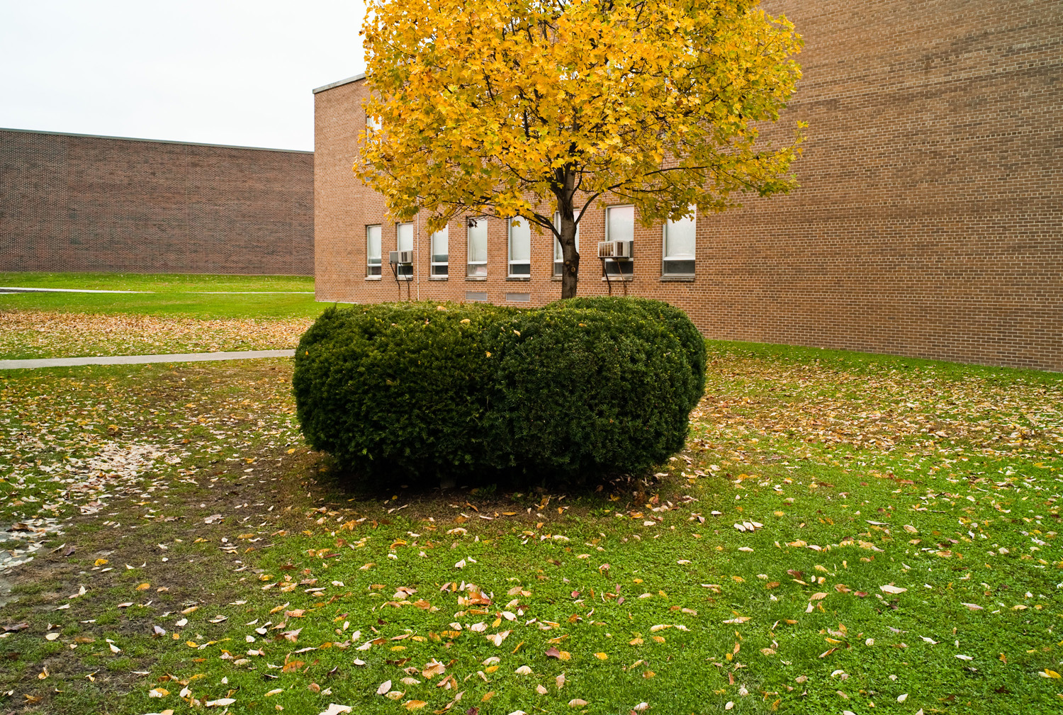 Empty : Plainfield, In 2009