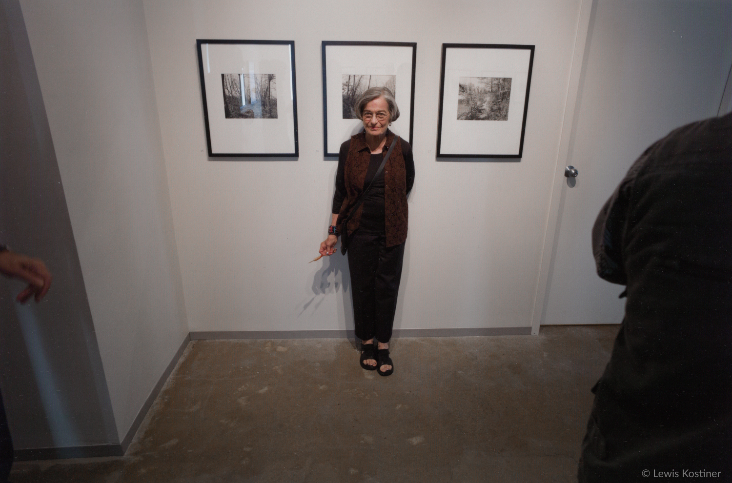 Barbara Crane, Daiter Gallery, Chicago, 2012