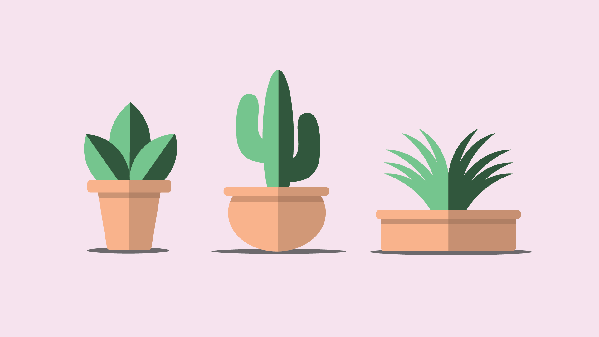 Vector potted plants