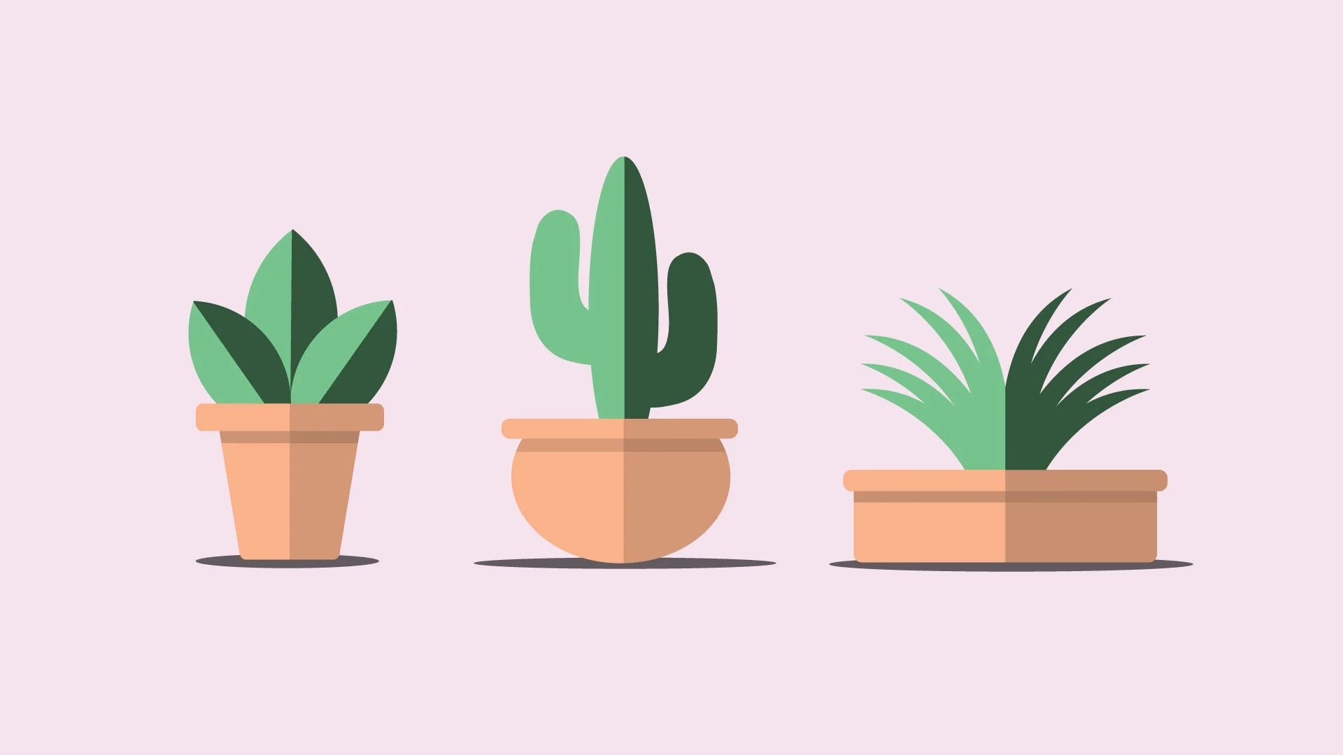 Potted Plants