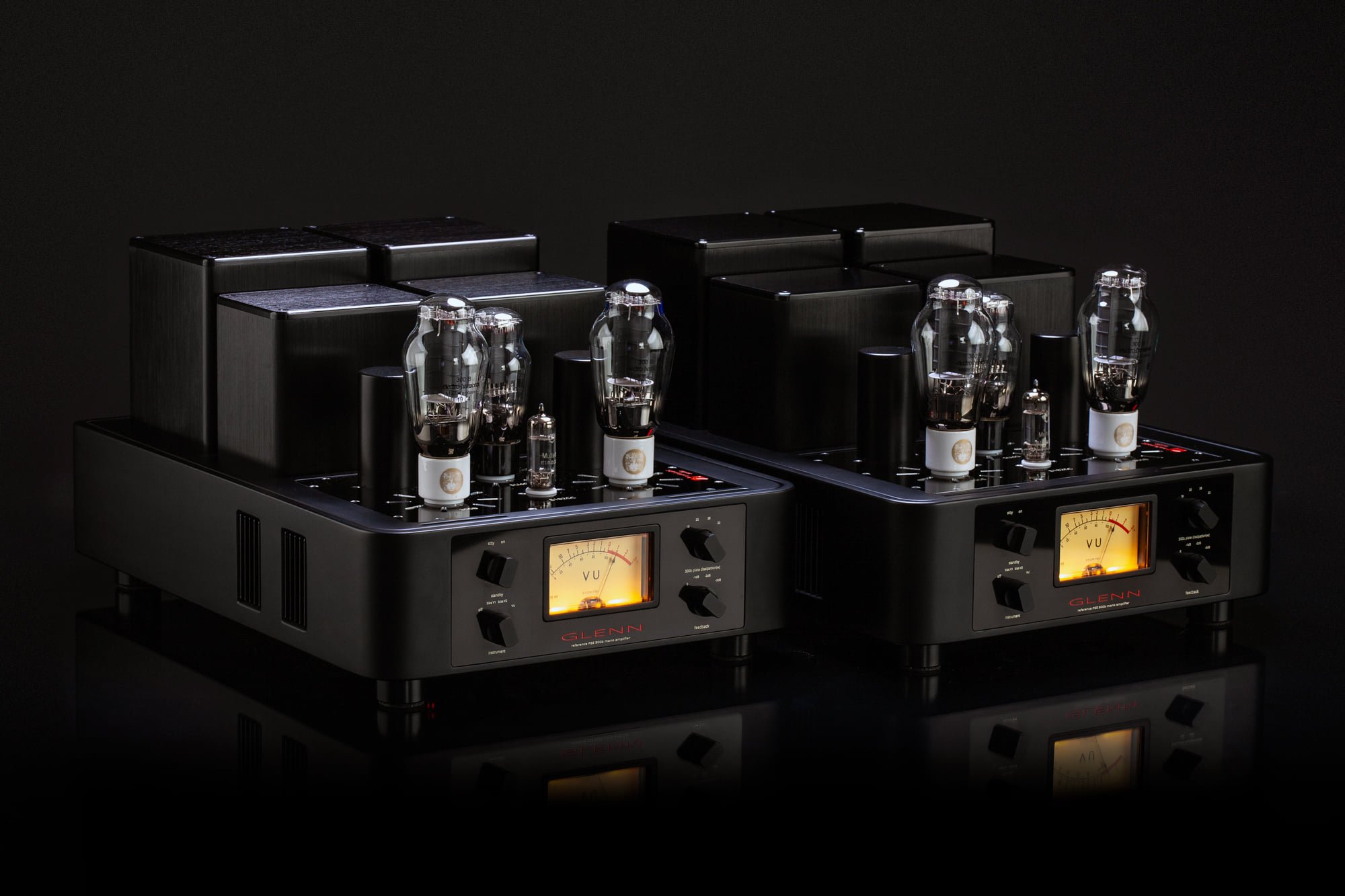 Trafomatic Audio Glenn Monoblocks