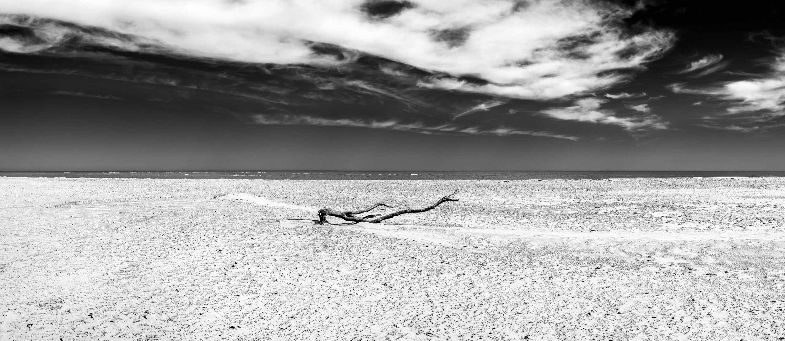 Miller Taylor Upon Sand Art Photography-10.jpg