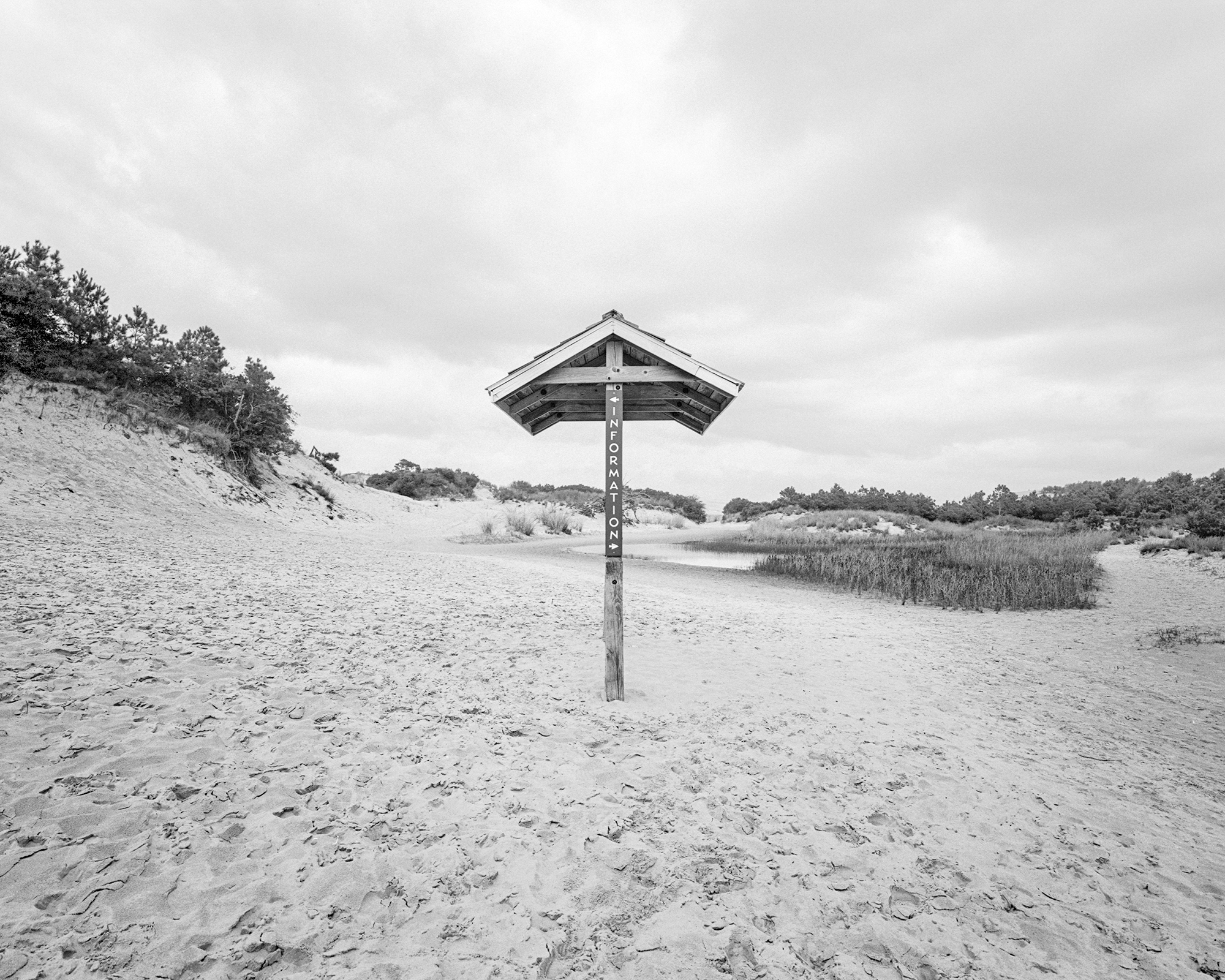  Jockey's Ridge. Medium format film photo from 2014. 