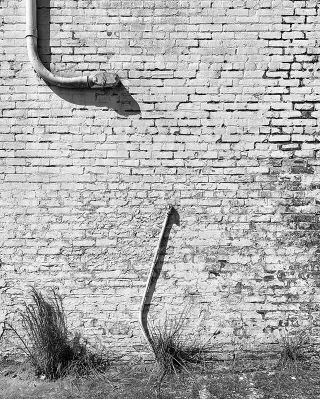 Brick Wall, E Water St, Washington, NC.
&bull;
&bull;
&bull;
&bull;
&bull;
#bnw_captures #bnw_planet #monoart #bw_society #bnw_demand #bnw_globe #bnwmood #insta_bw #bw_crew #igersbnw #monochromatic #sociallandscape #mundanebeauty #post_evidence #newt