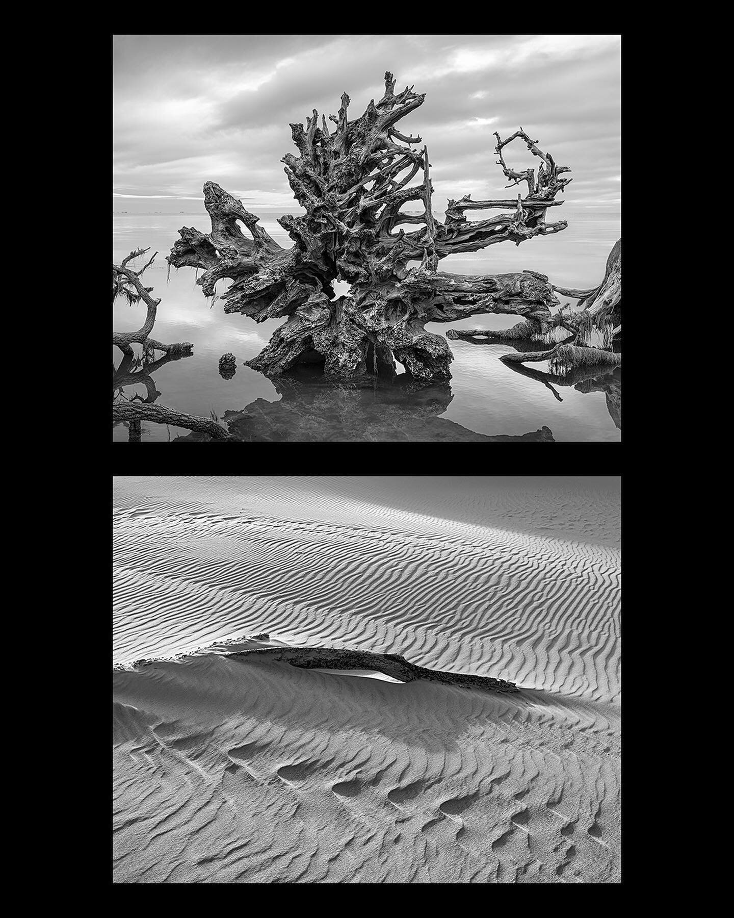 Driftwood in Nags Head Woods and Driftwood in Pea Island. Making some work prints to compare and contrast this pairing thanks to an Artist Support Grant from @unitedartswake.
#uponsand #unitedartsgrants #photoprint

This project is supported by the U