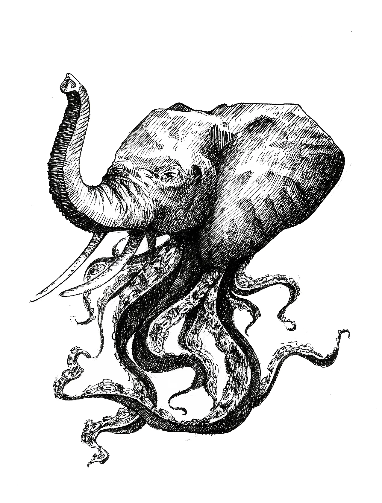 elephant.jpg