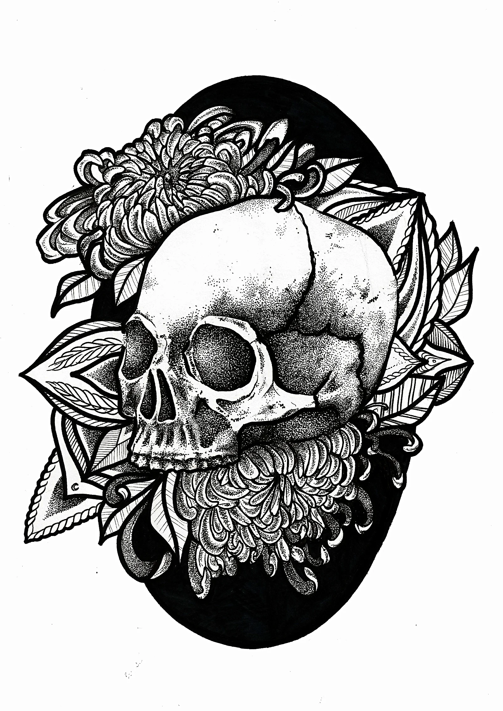 skull.jpg