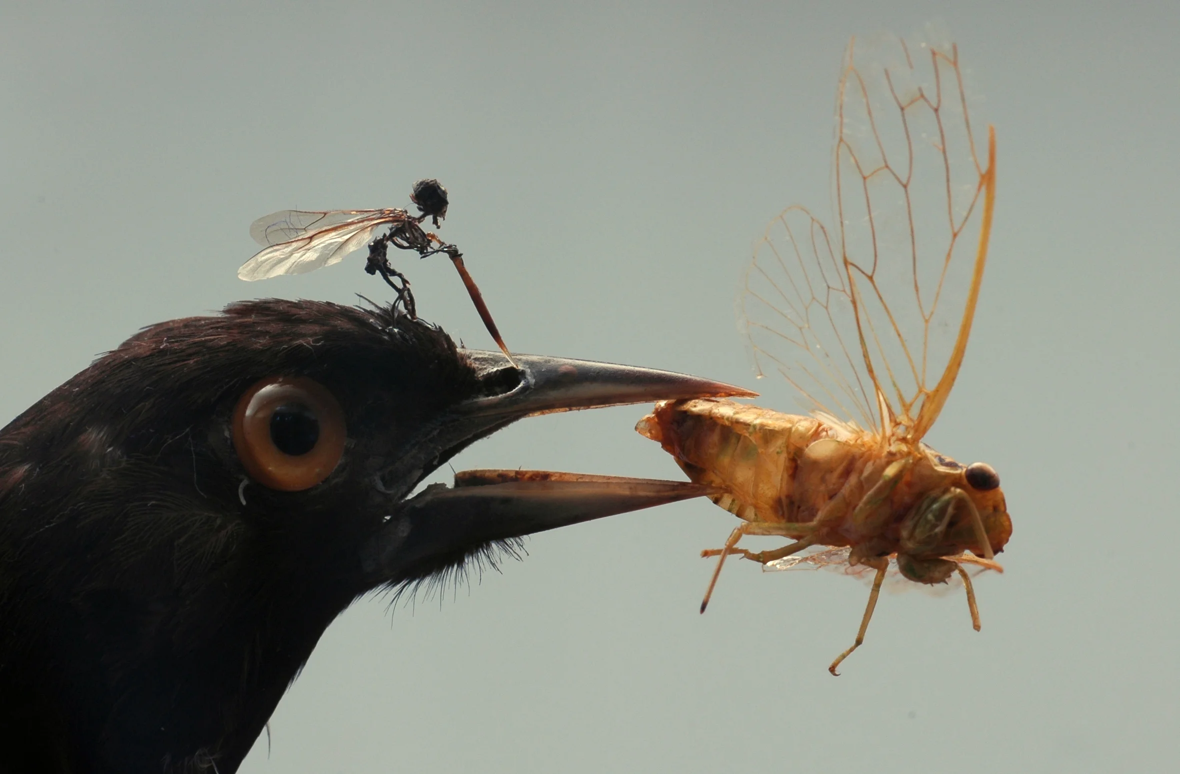 Little Savages (detail3).jpg