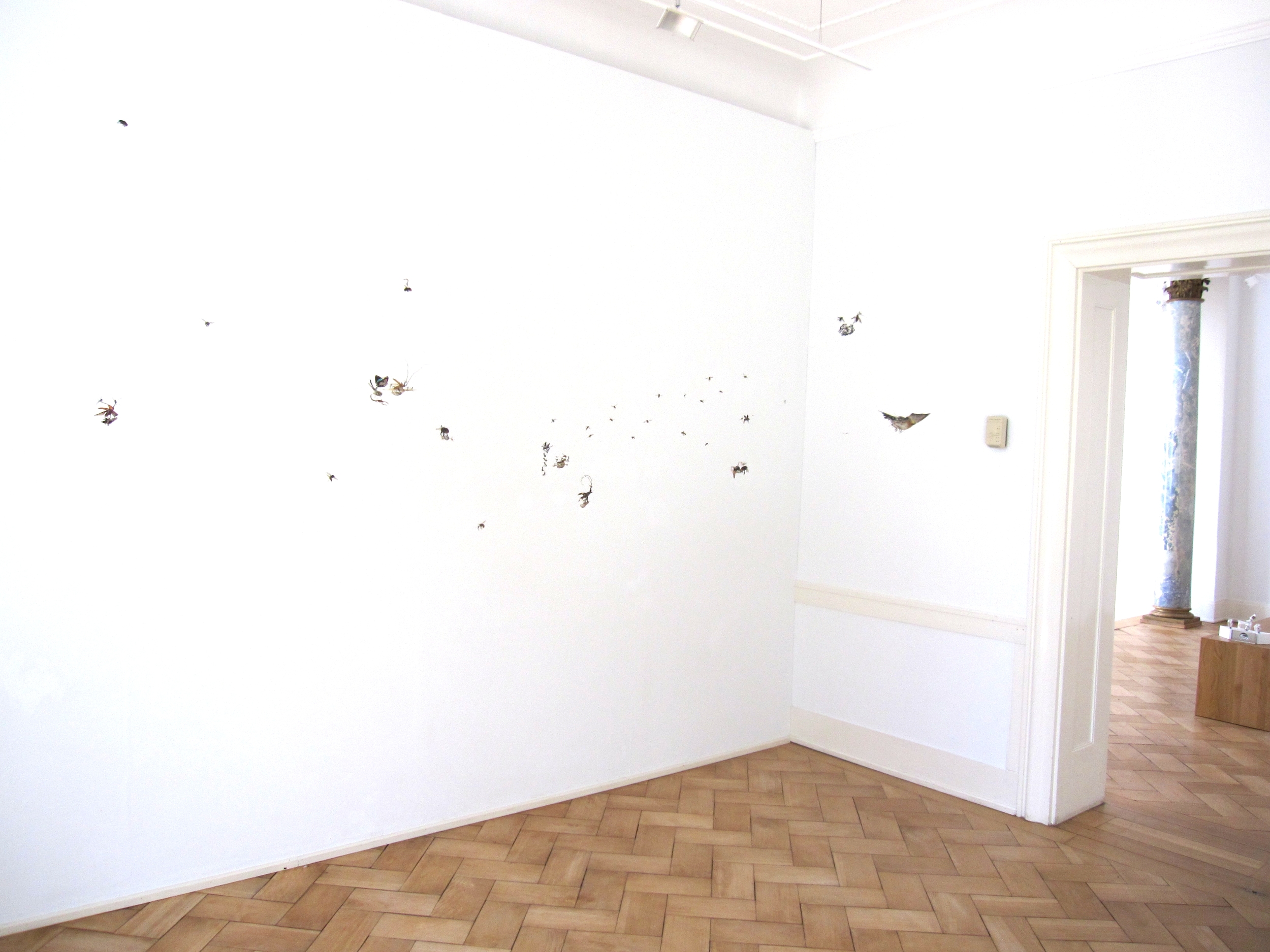  Installed at Museum Villa Rot, Germany for 'Hunters and Hunted'. Taxidermy bird, bones, insects, arachnids, plant roots, hedgehog and porcupine spines, snail shells. 