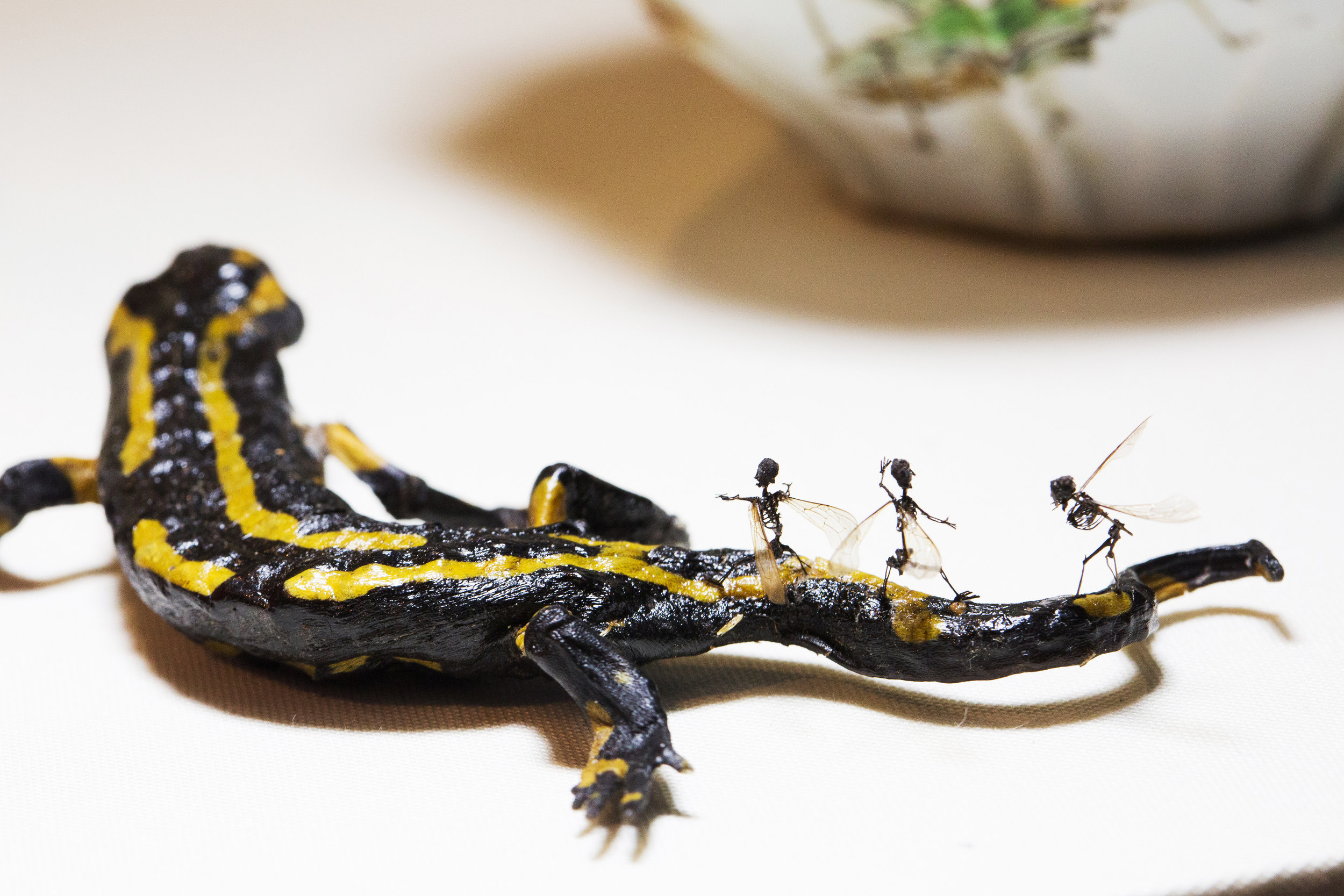 A salamander transmuted from a nearby bronze darts towards the feast, ridden by fairies eager to join the festivities.