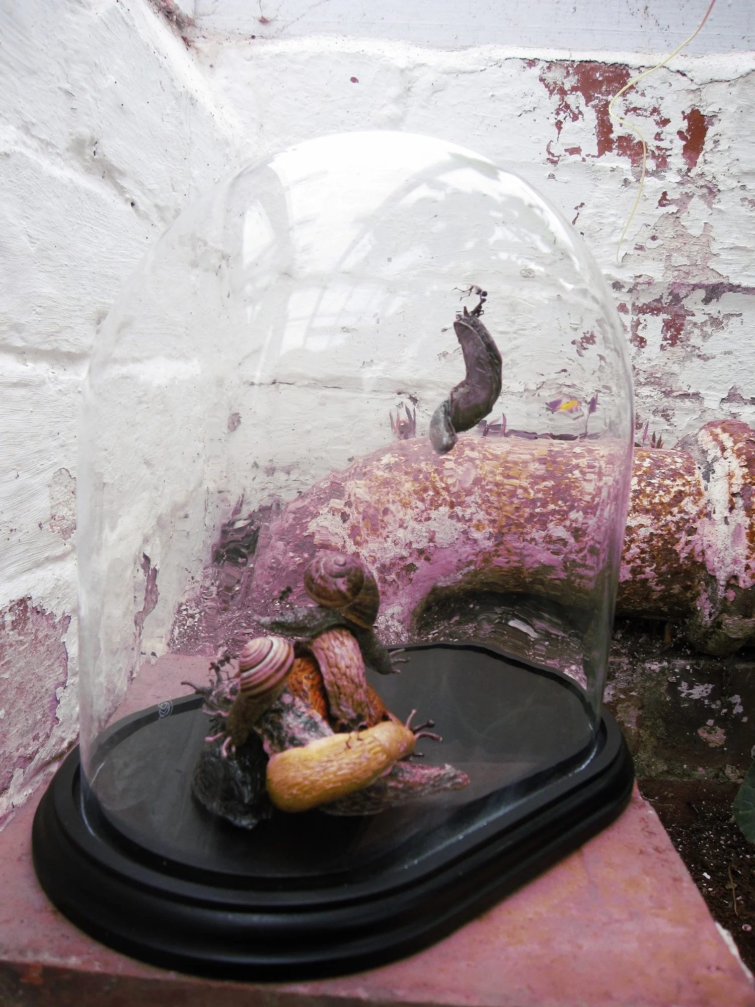   Insect sized skeleton fairies have been gathering slugs and snails from the grounds and depositing them in a pile inside a greenhouse- their motive is not entirely clear, are they intent on letting the pests run amock amongst the vegetation or is t