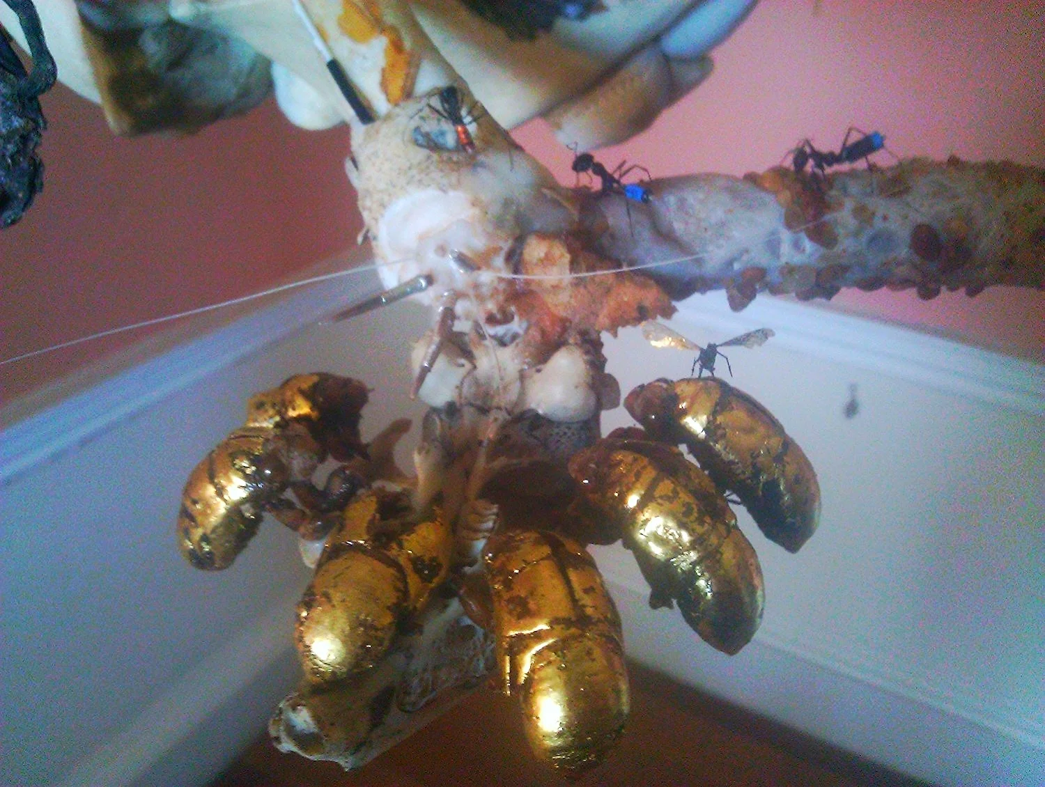 IMG_20120422_163756.jpg