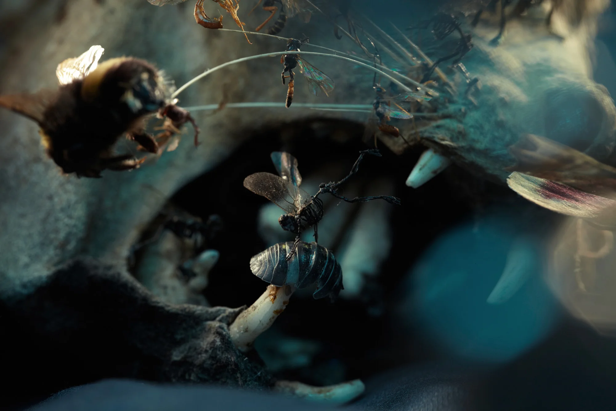 Amon Tobin 2_ 8986.jpg