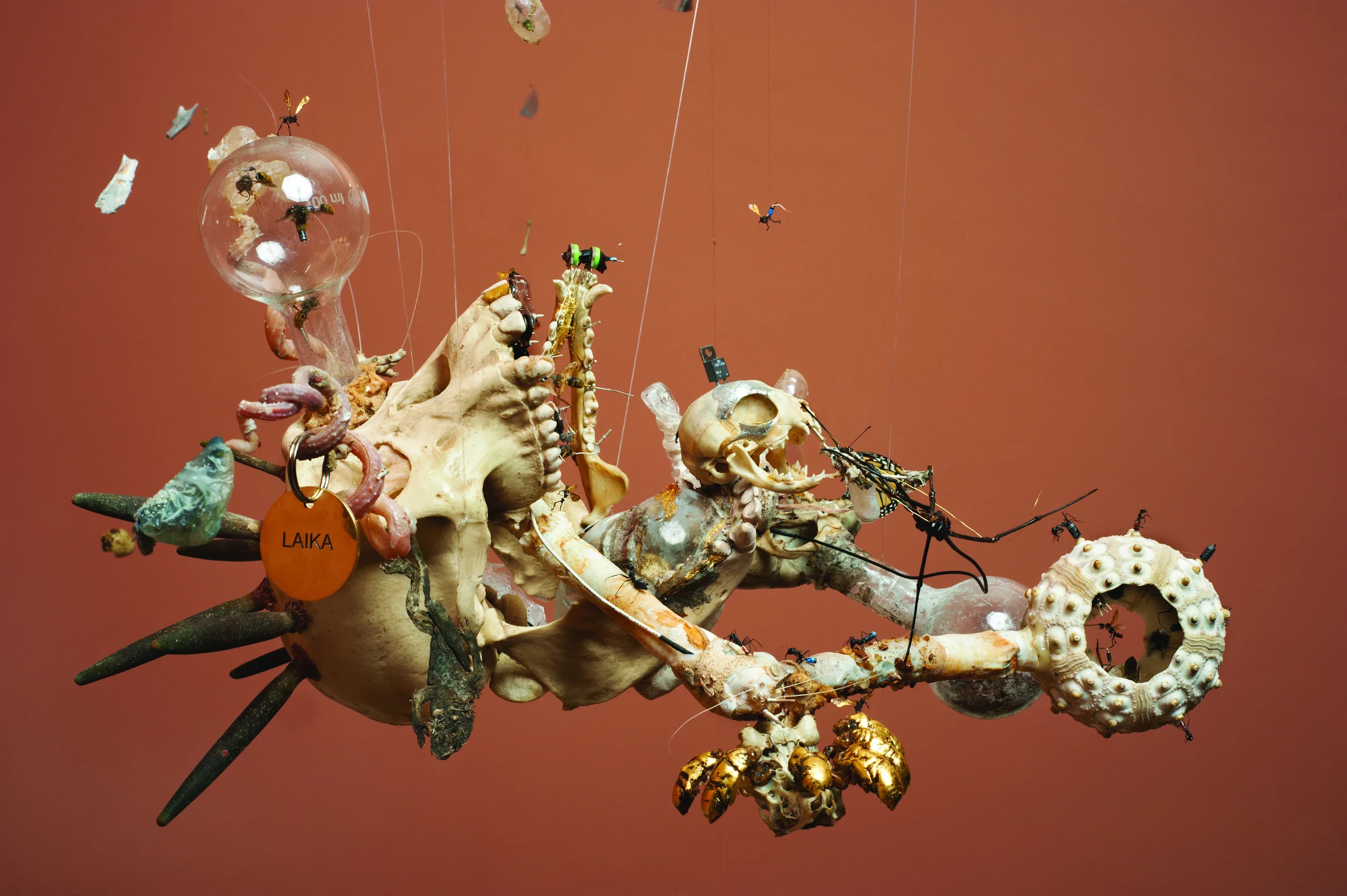 Image copyright Thierry Bal Commissioned for Flights of Fancy at Tatton Park Biennial. Taxidermy rat and mice, crab claws, worm shells, bones, sea urchins, electronic components, aluminium, ash, foil, portuegeuse man o war polyps, gold leaf, insects, arachnids, engraved dog tag.