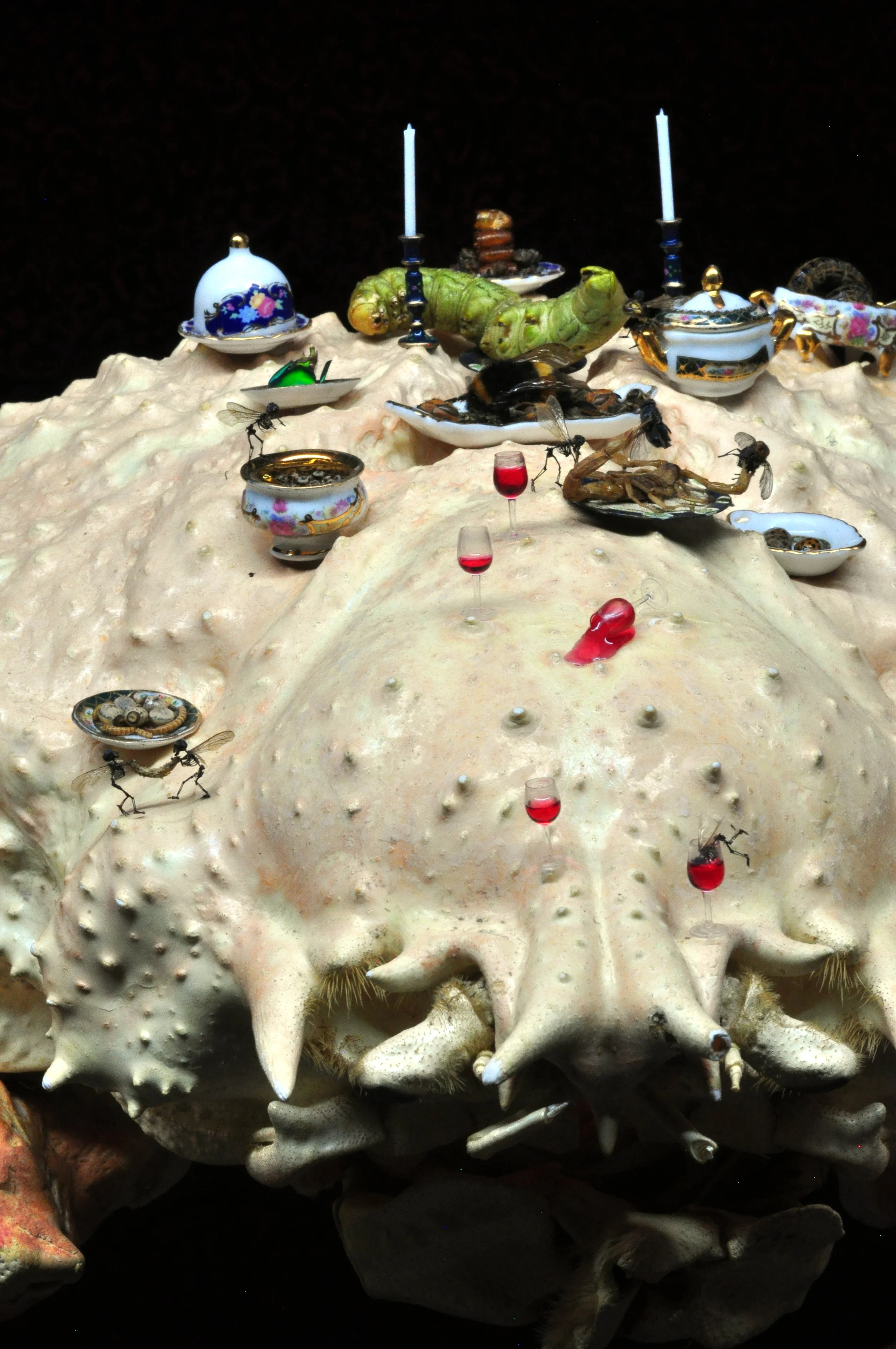 editcrabfeast3.jpg