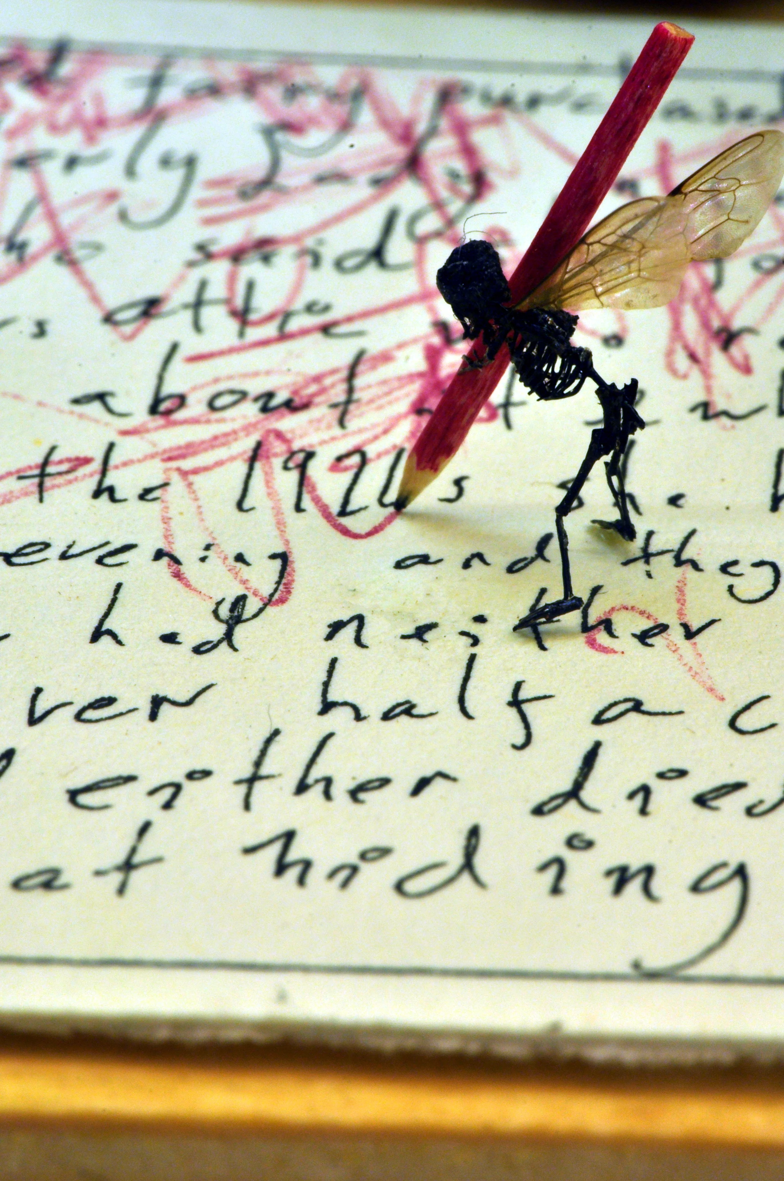 editscribble.jpg