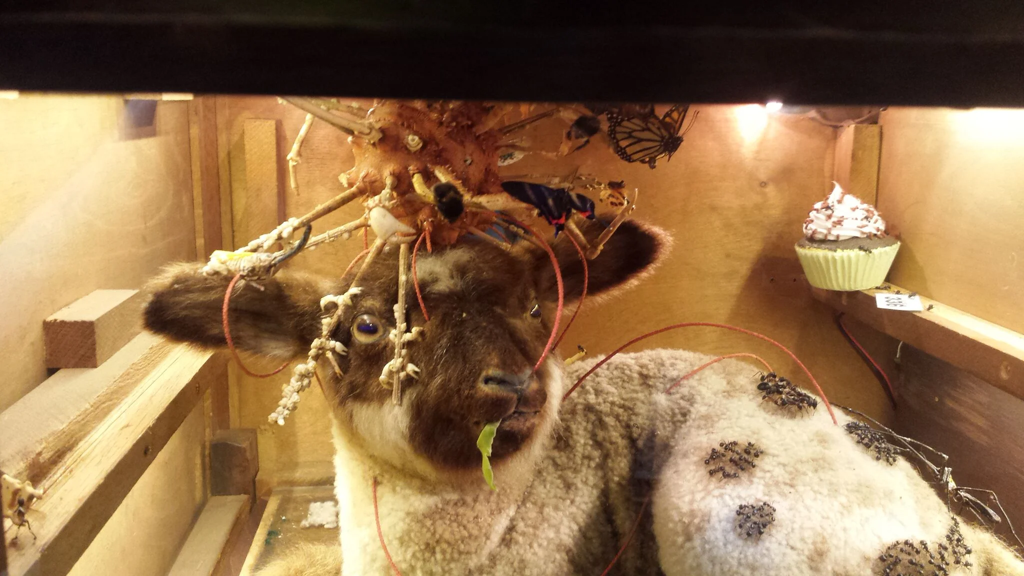 2b.jpg