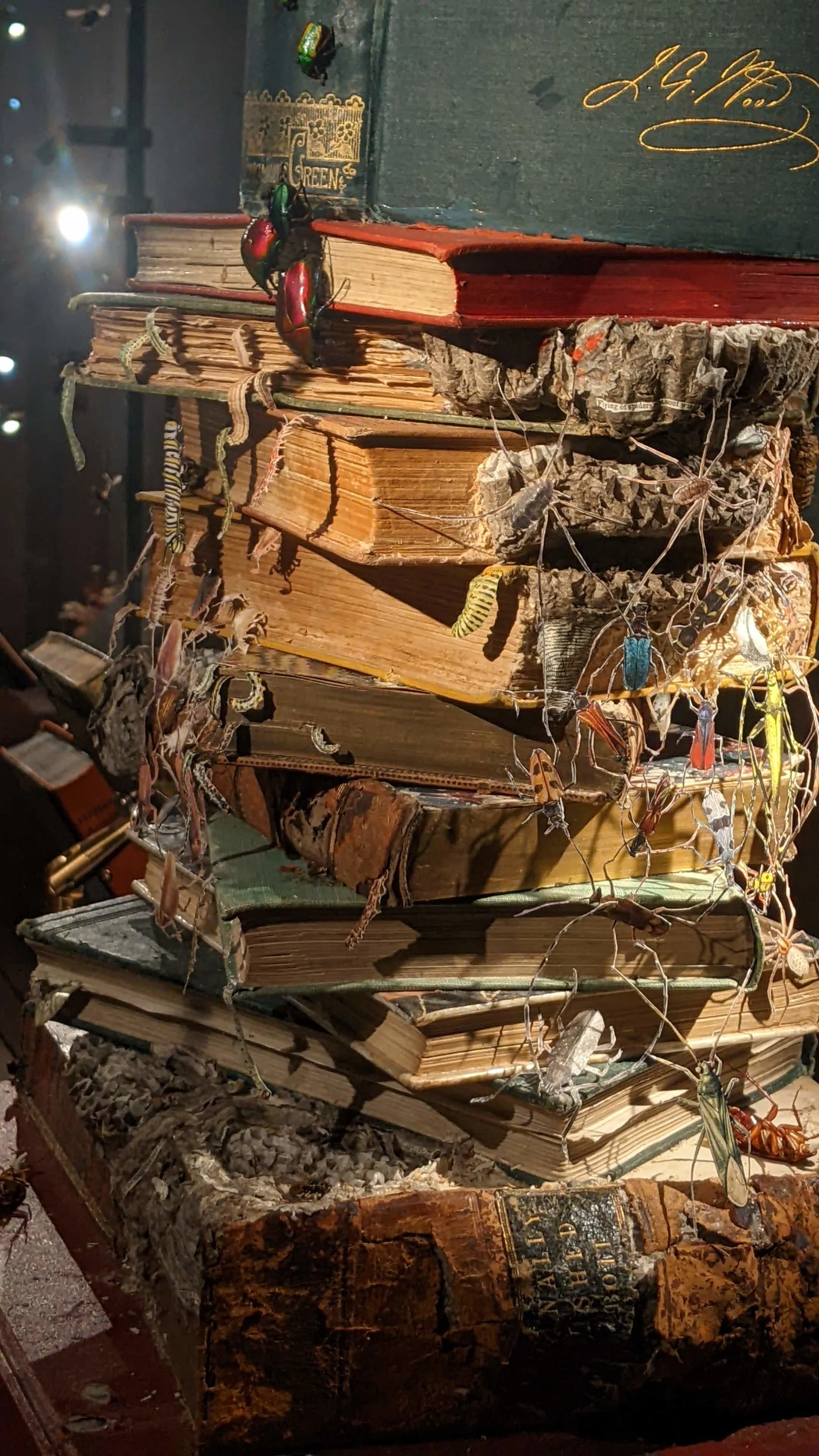 Kafka: Making of an Icon, Weston Library, Oxford
