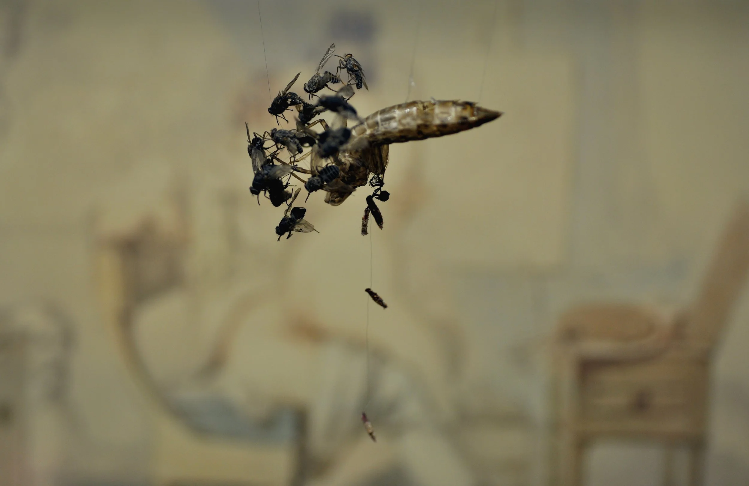 Copy of spreader.jpg