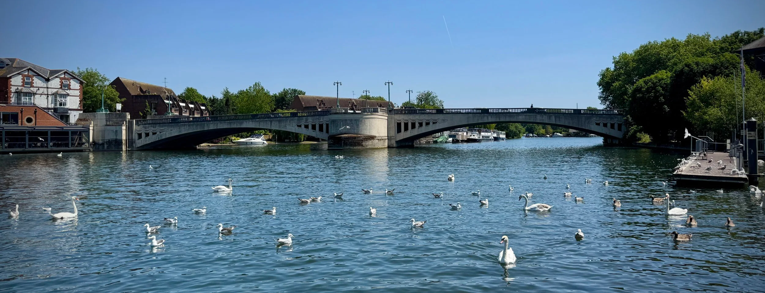 Approaching Caversham Bridge from the west on the Thames Path