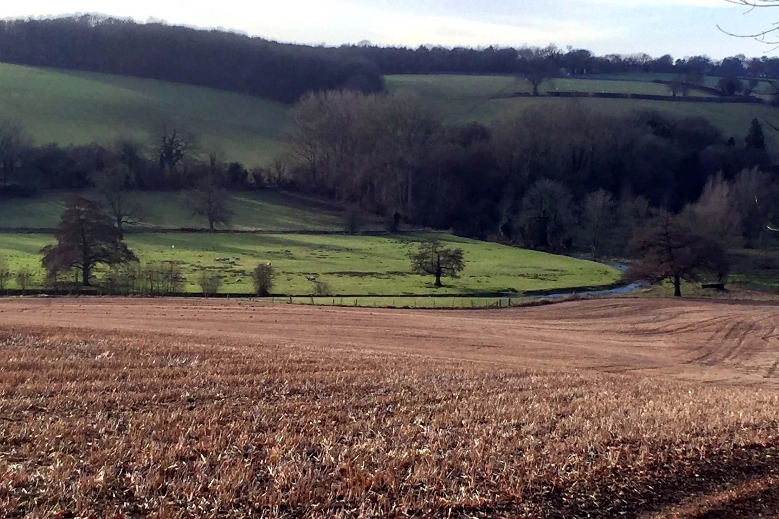 Chiltern Walks: The Chess Valley Walk
