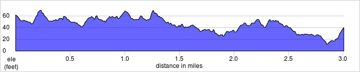 elevation_profile - Fulham Palace.jpg
