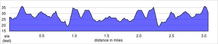 elevation_profile - Kingston.jpg