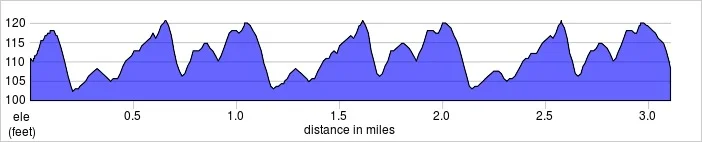 elevation_profile - Tooting Common.jpg
