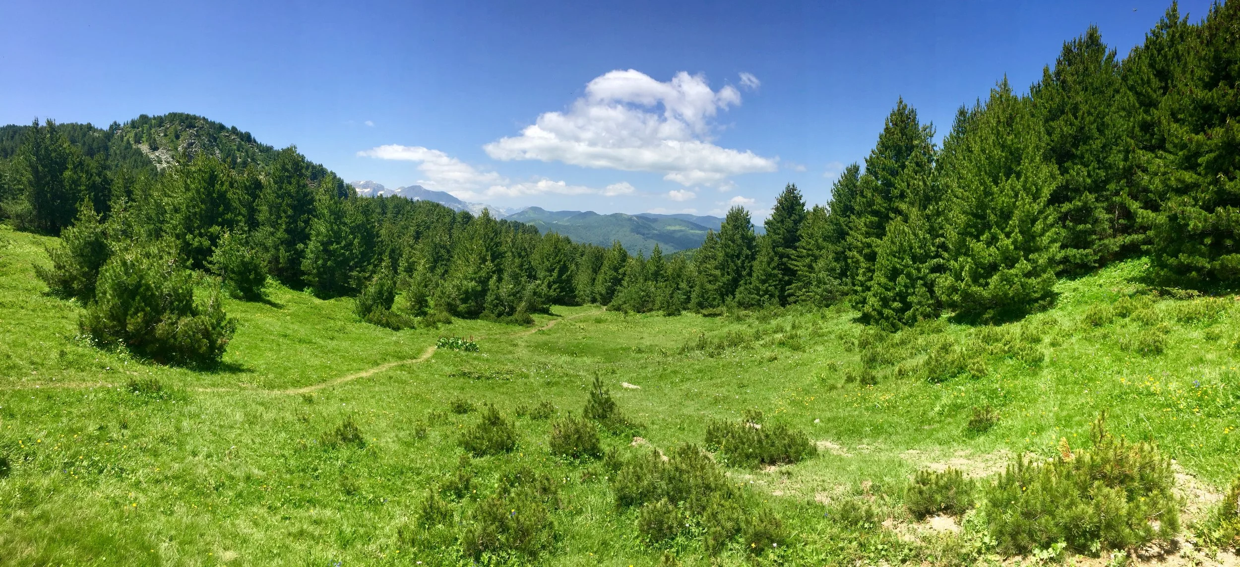 IMG_E7834.JPG