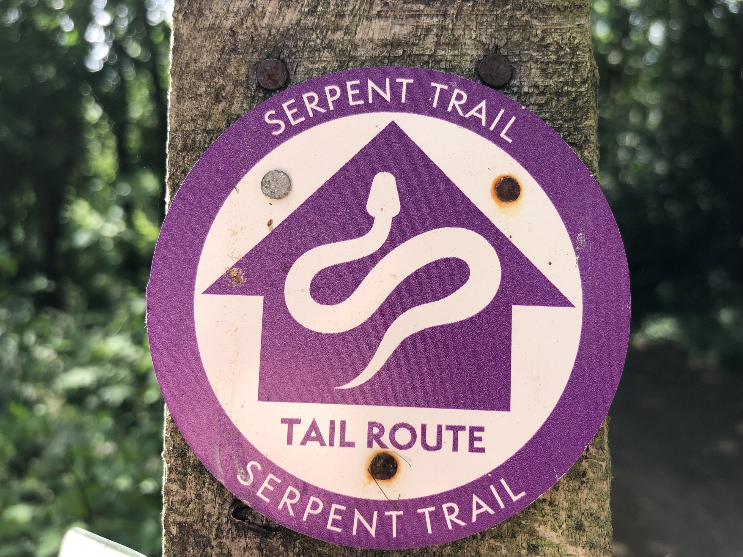 Serpent Trail Ultra