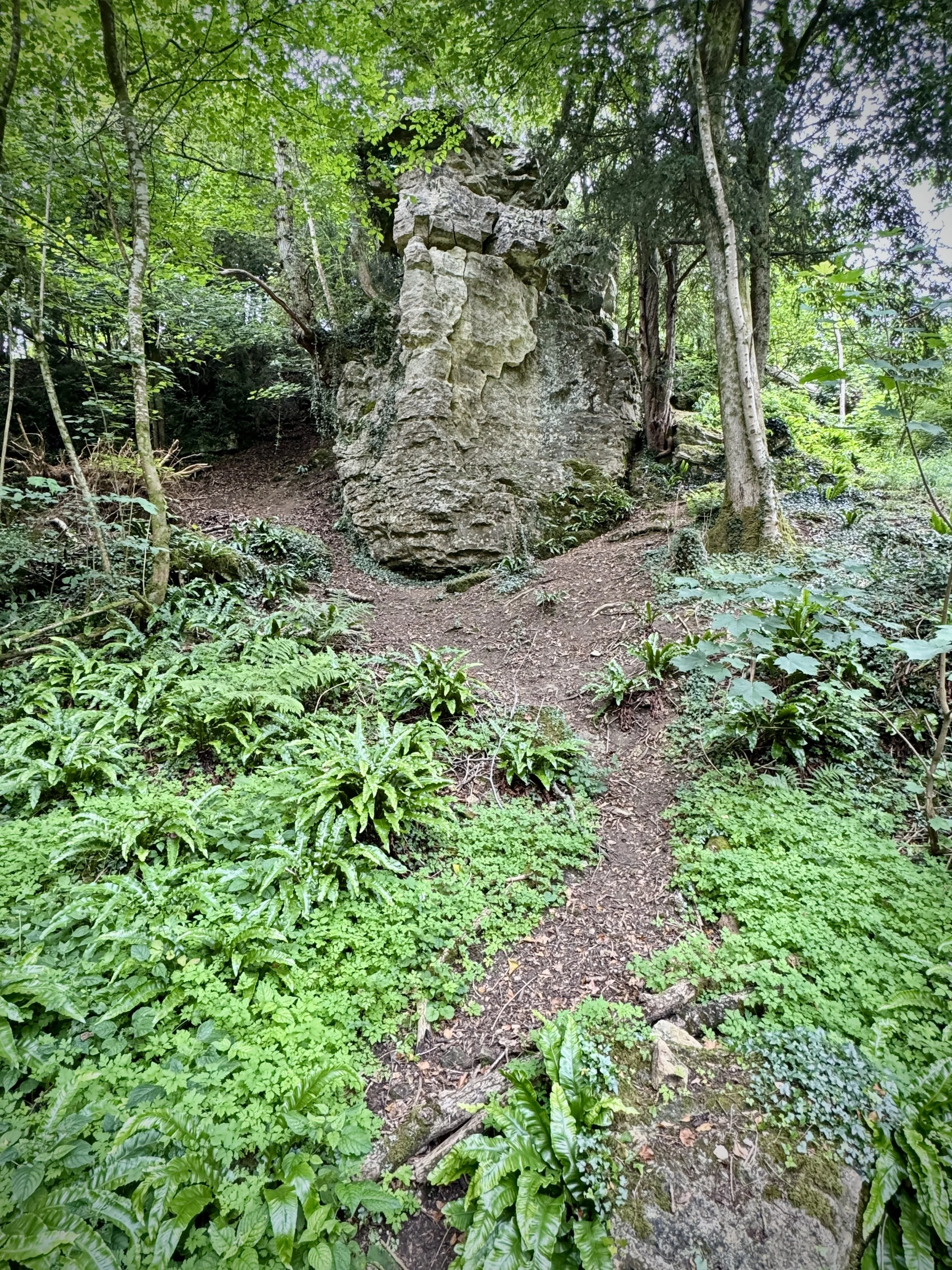 IMG_8692.JPG