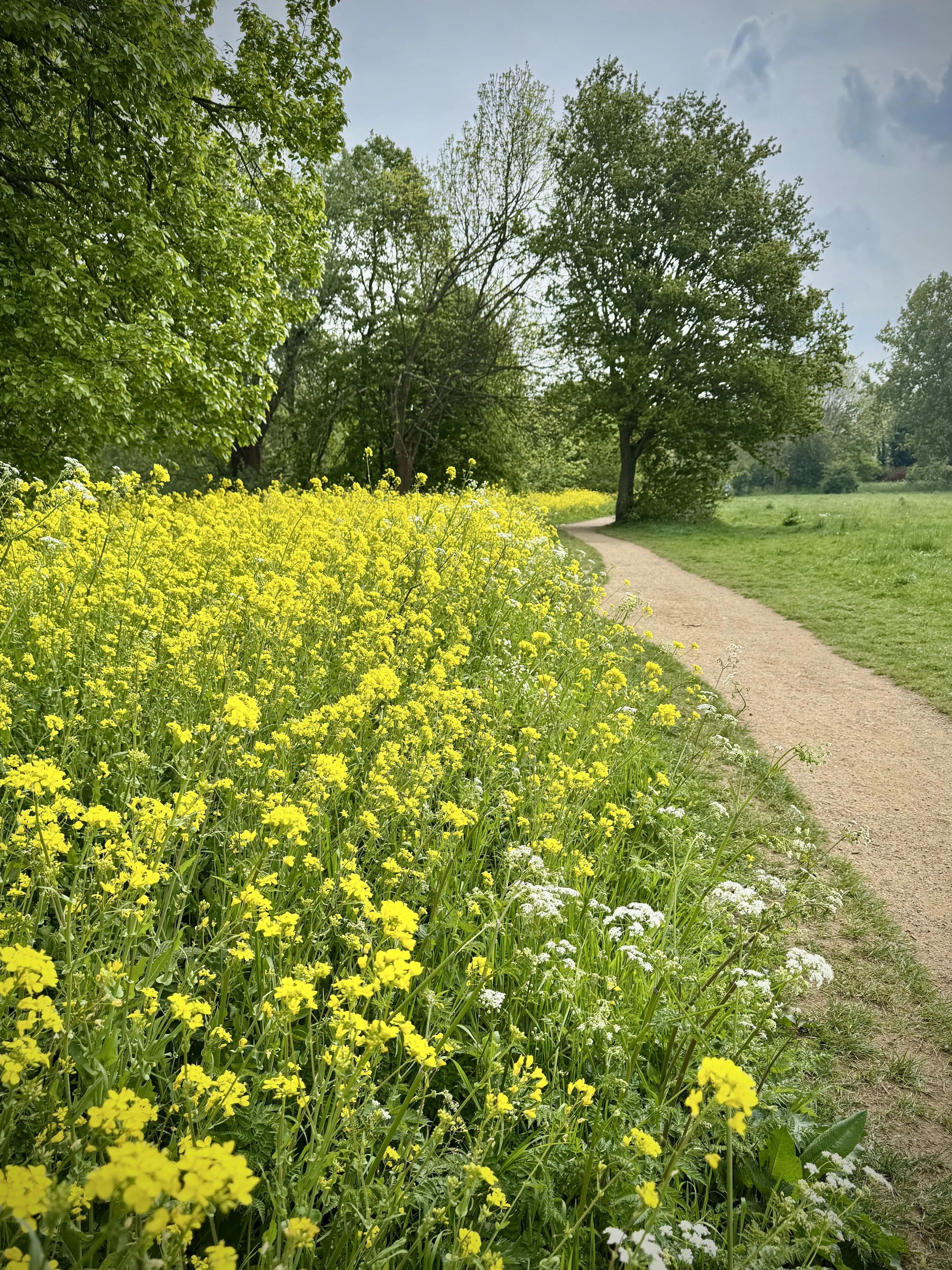 IMG_6976.JPG