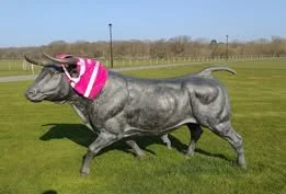 Dallas Burston Polo Club - Carlo Di Terlizzi.jpg