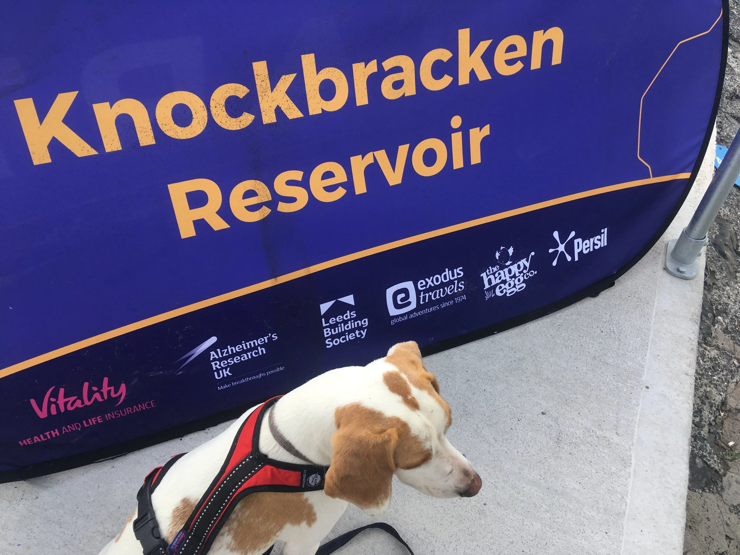 Knockbracken Reservoir - Linda Harley Gillespie.jpg