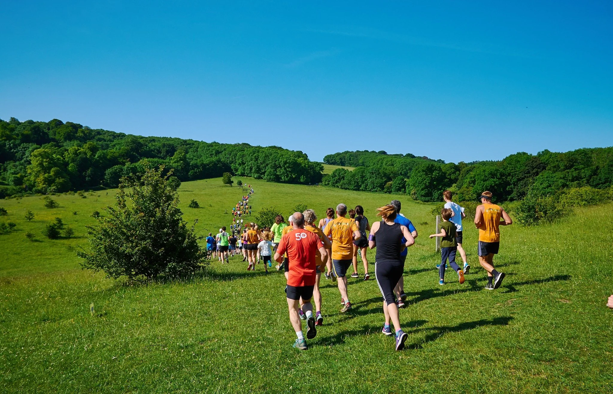 Tring - Ken Douglas.jpg