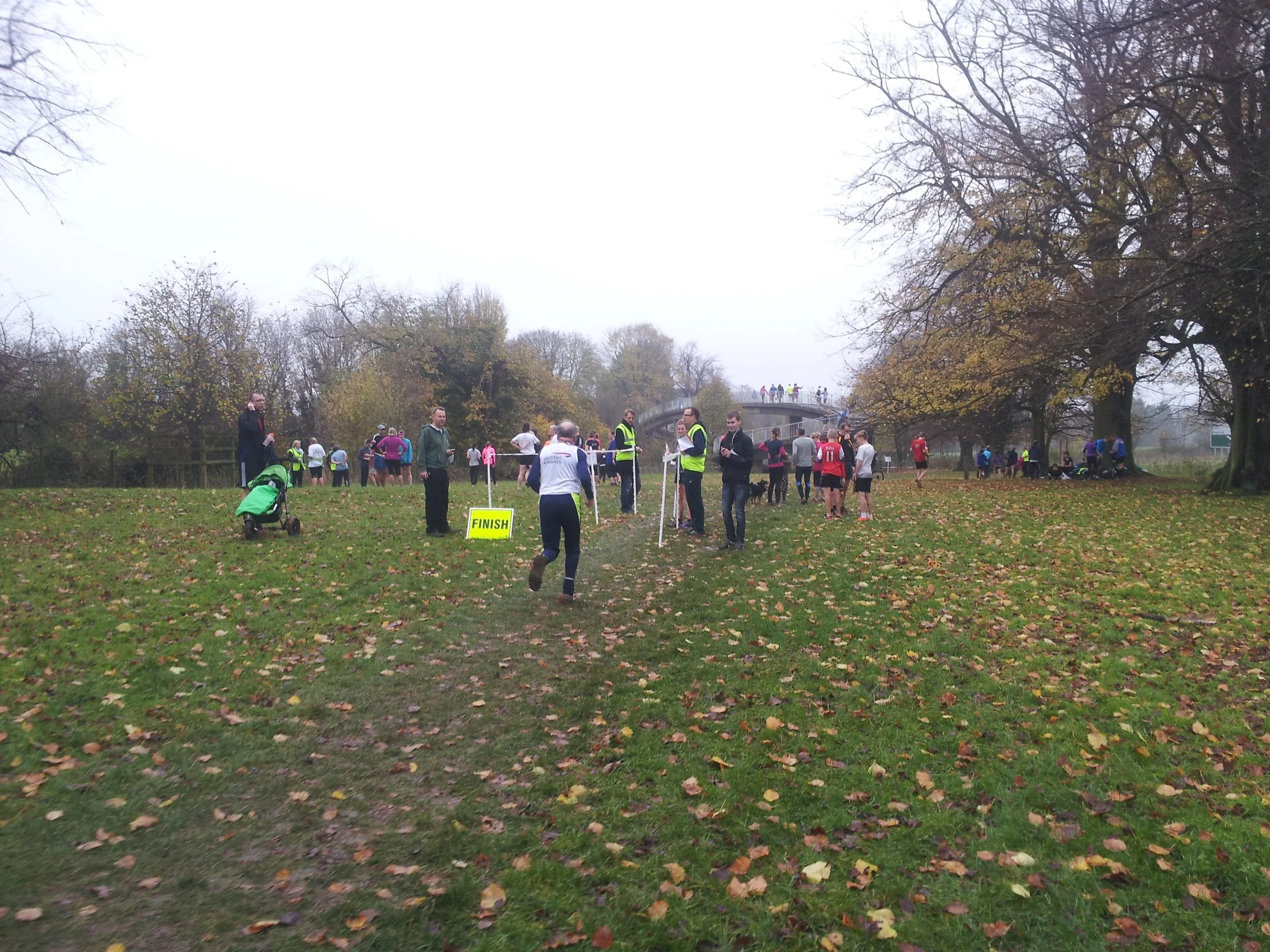 Tring - Roderick Hoffman.jpg