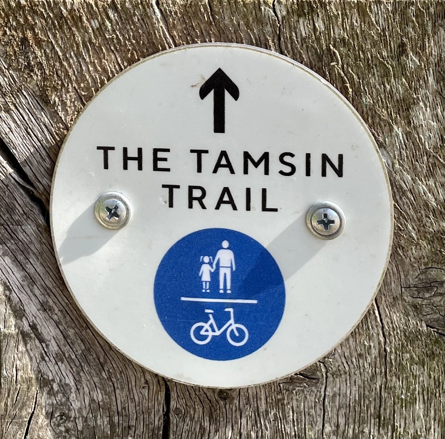 Walking The Tamsin Trail in Richmond Park