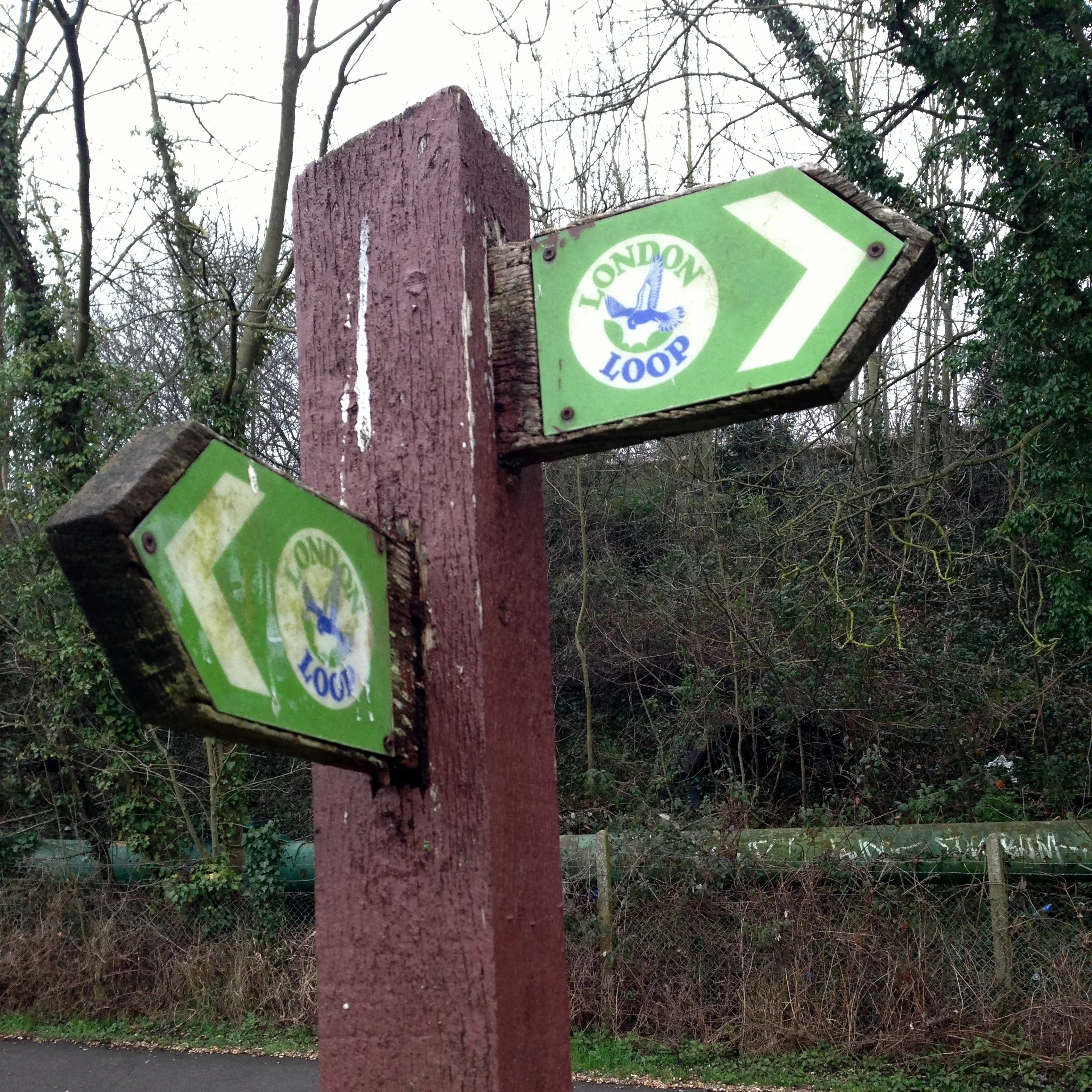 Cycling The London Loop