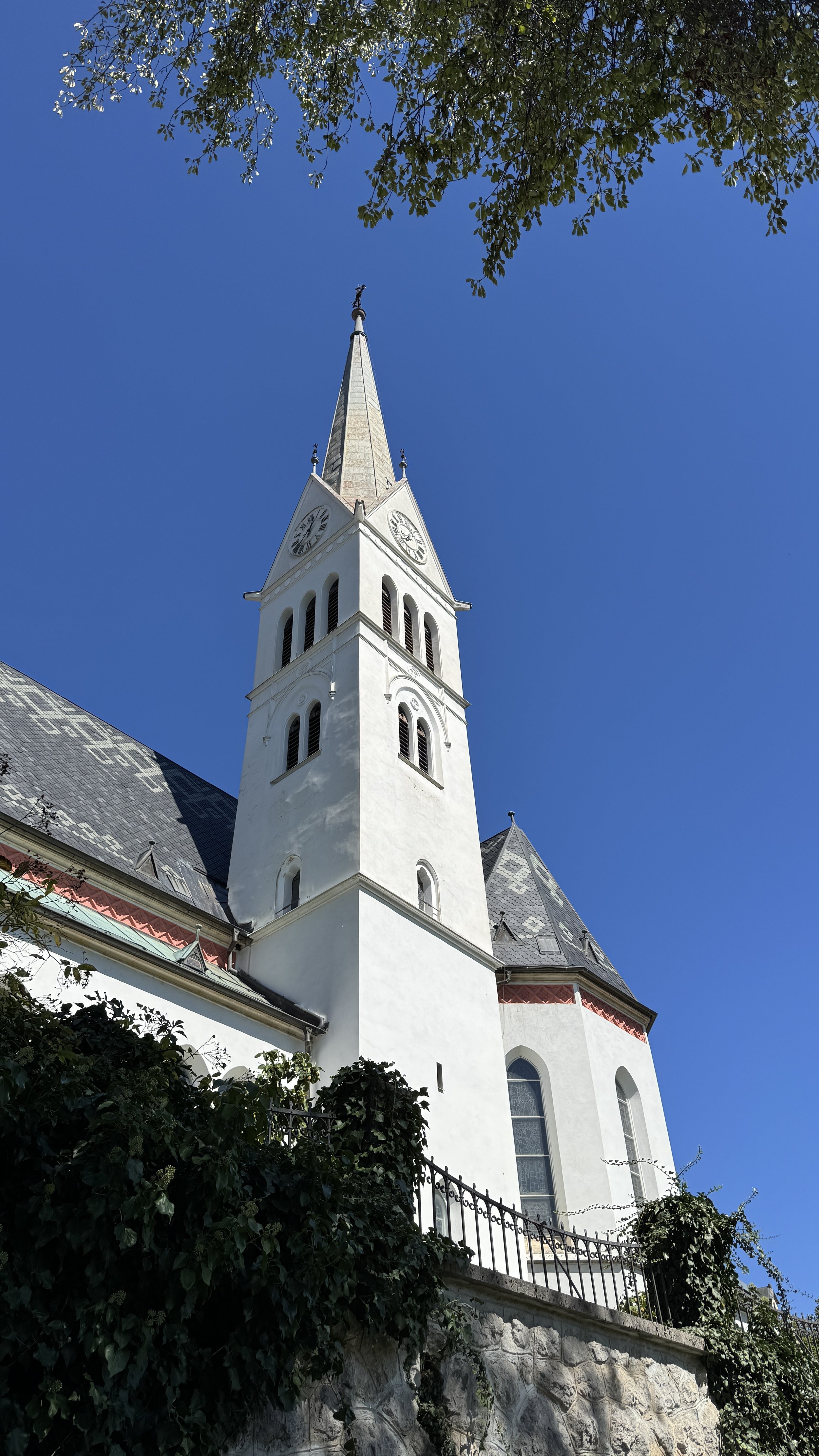 IMG_4125.JPG