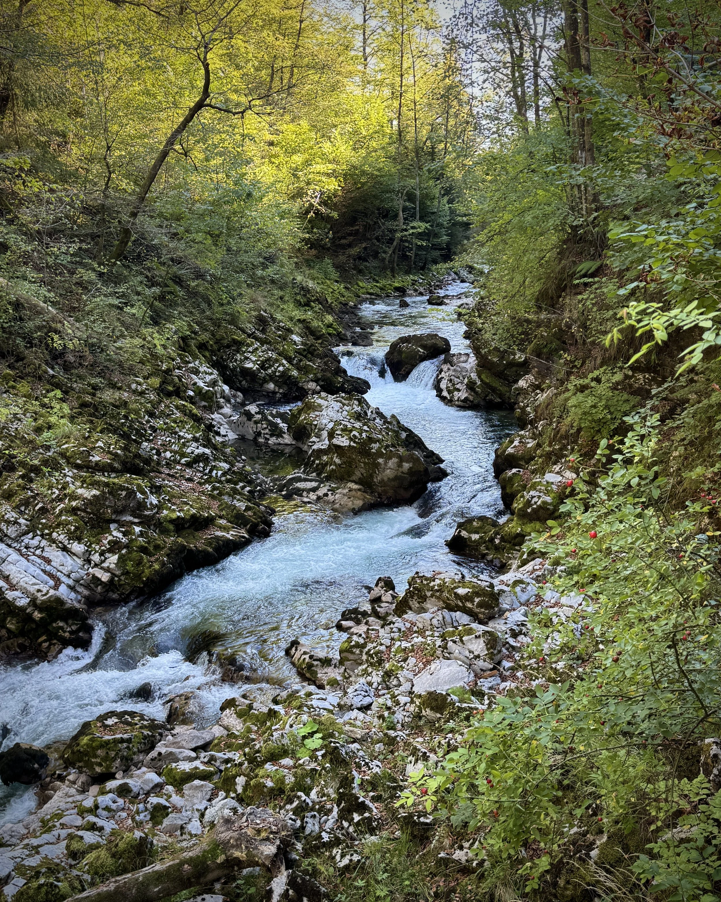 IMG_4178.JPG