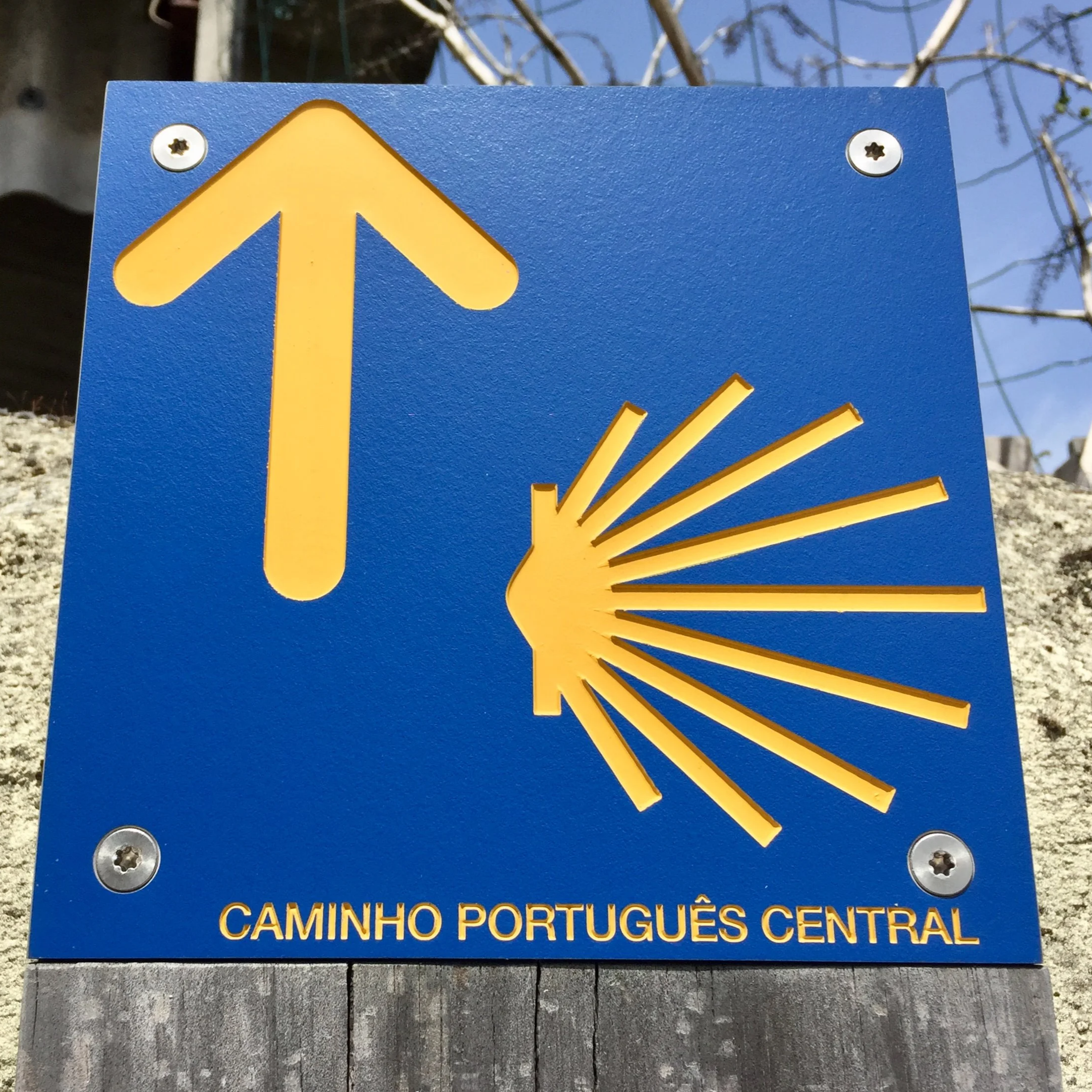 Camino Portuguese
